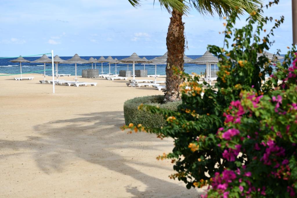 Plajă 