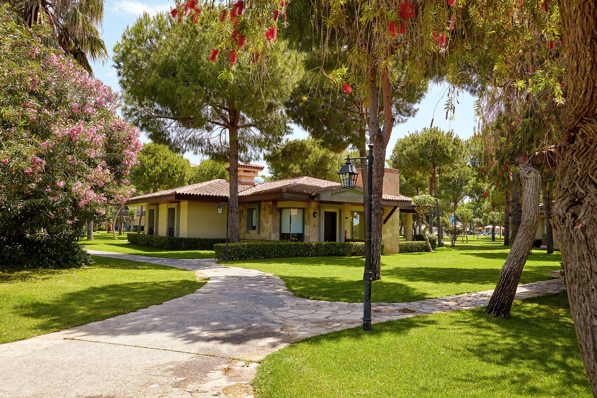 Executive Villa