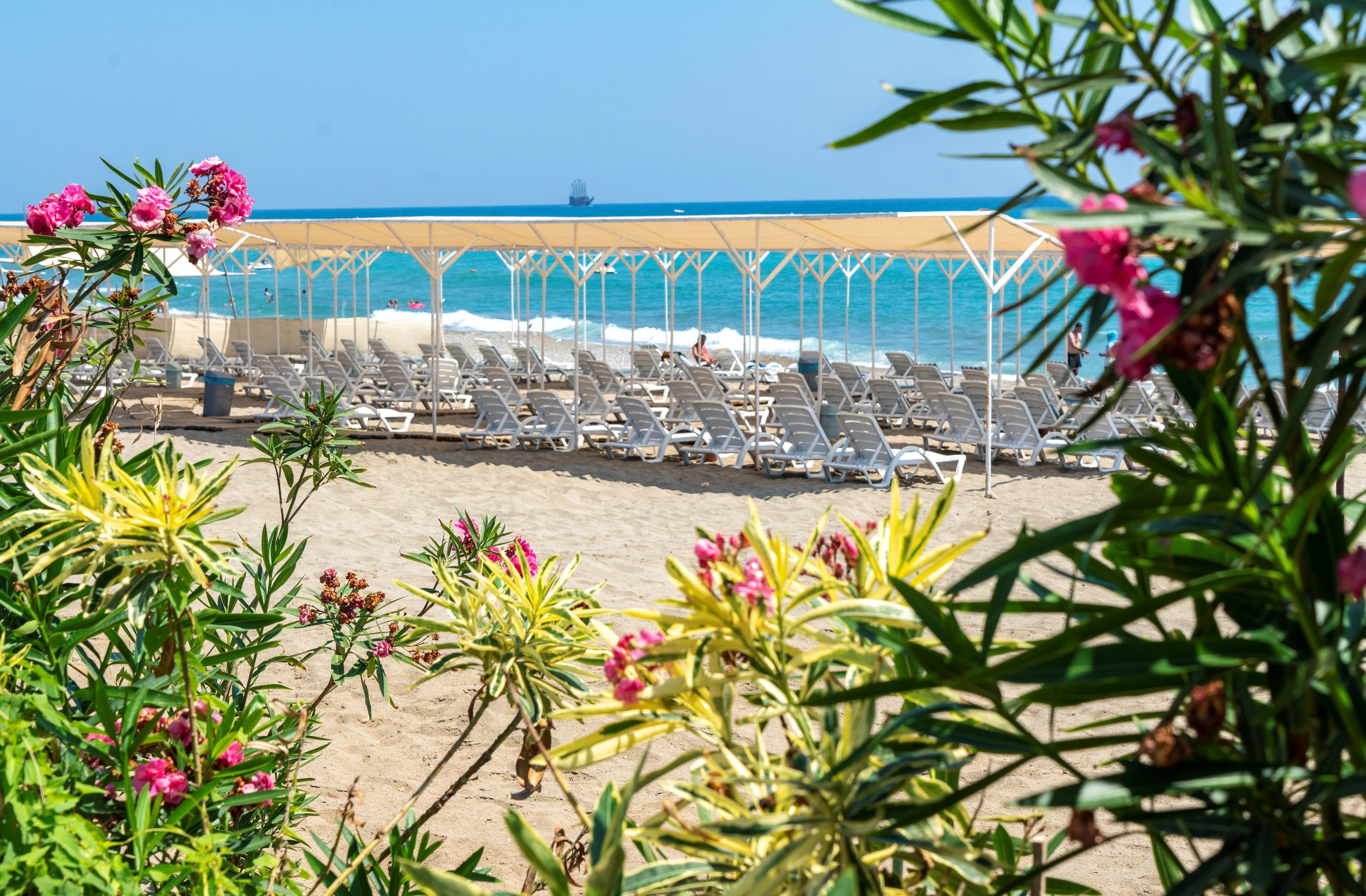 beach bar