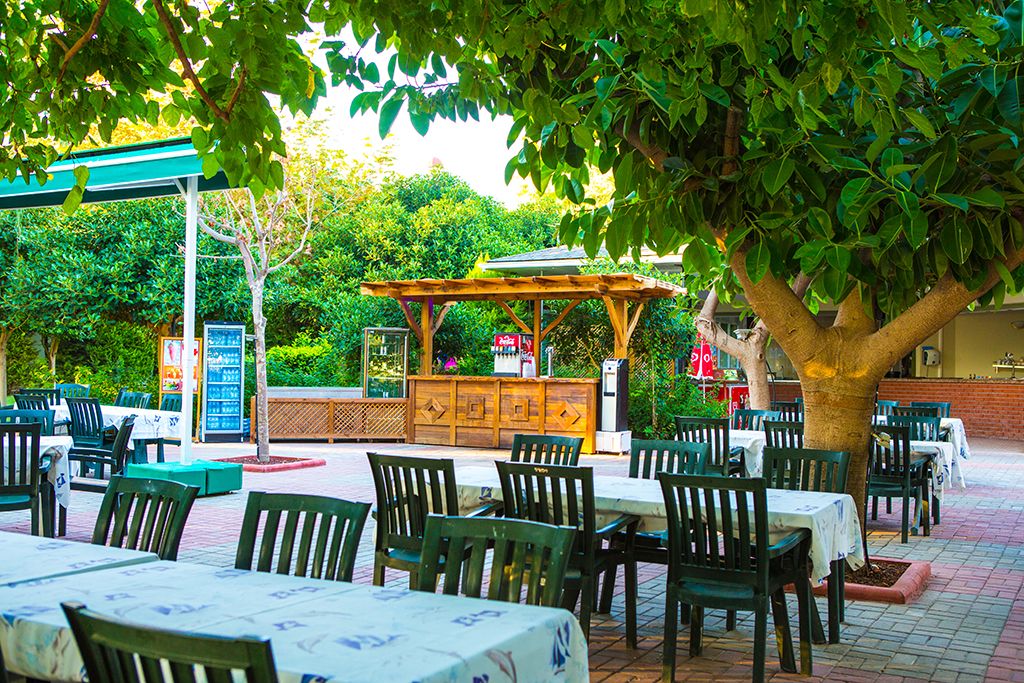 BEACH BAR