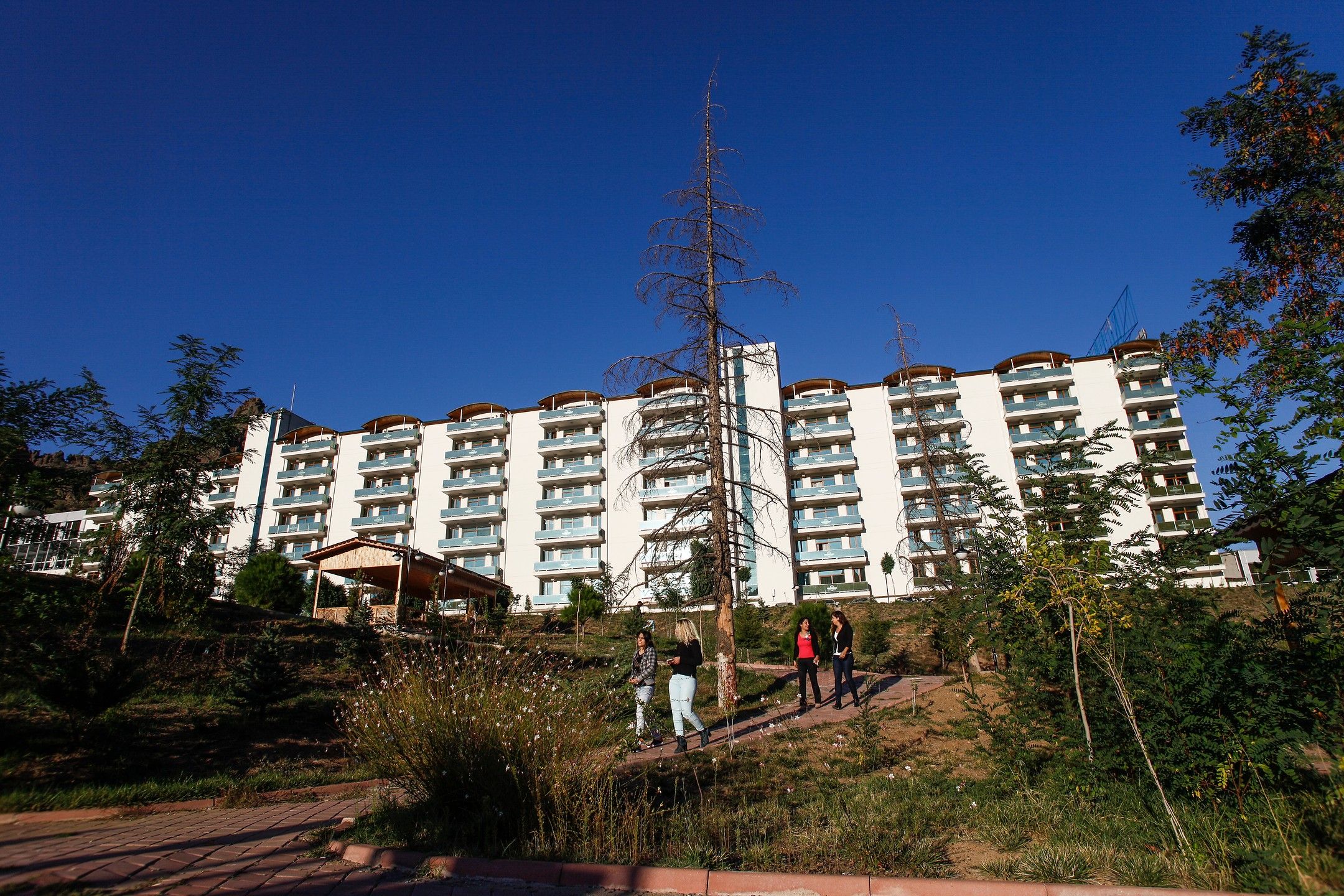 Main Building