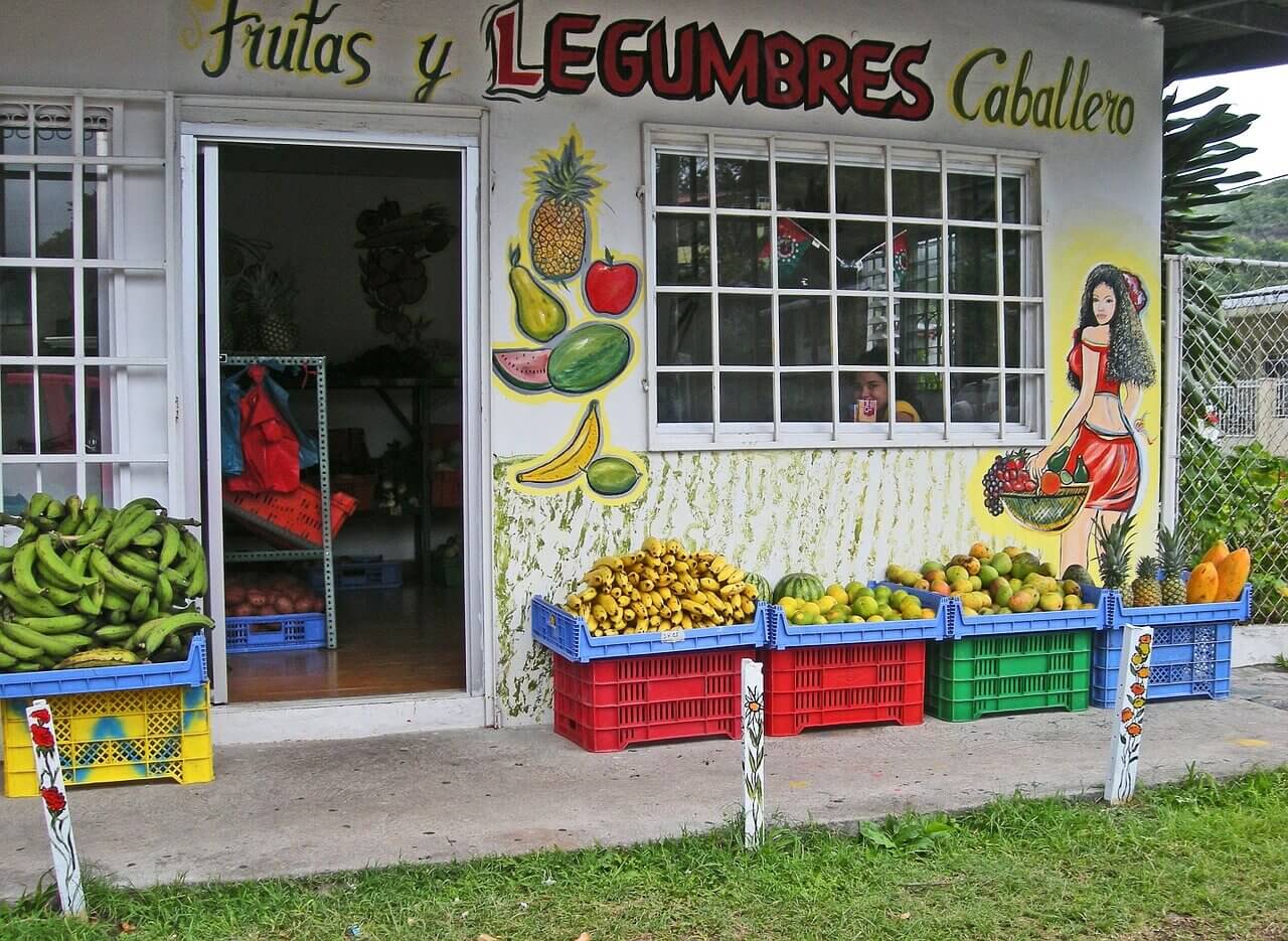 fruits Panama(1).jpg
