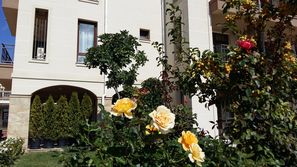Main Building