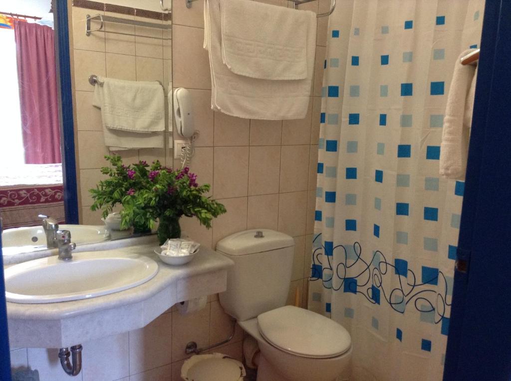 APARTMENT 1 BEDROOM BALCONY OR TERRACE 