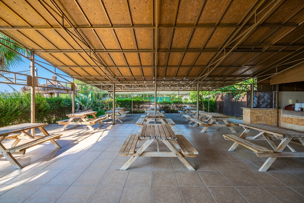 BEACH BAR