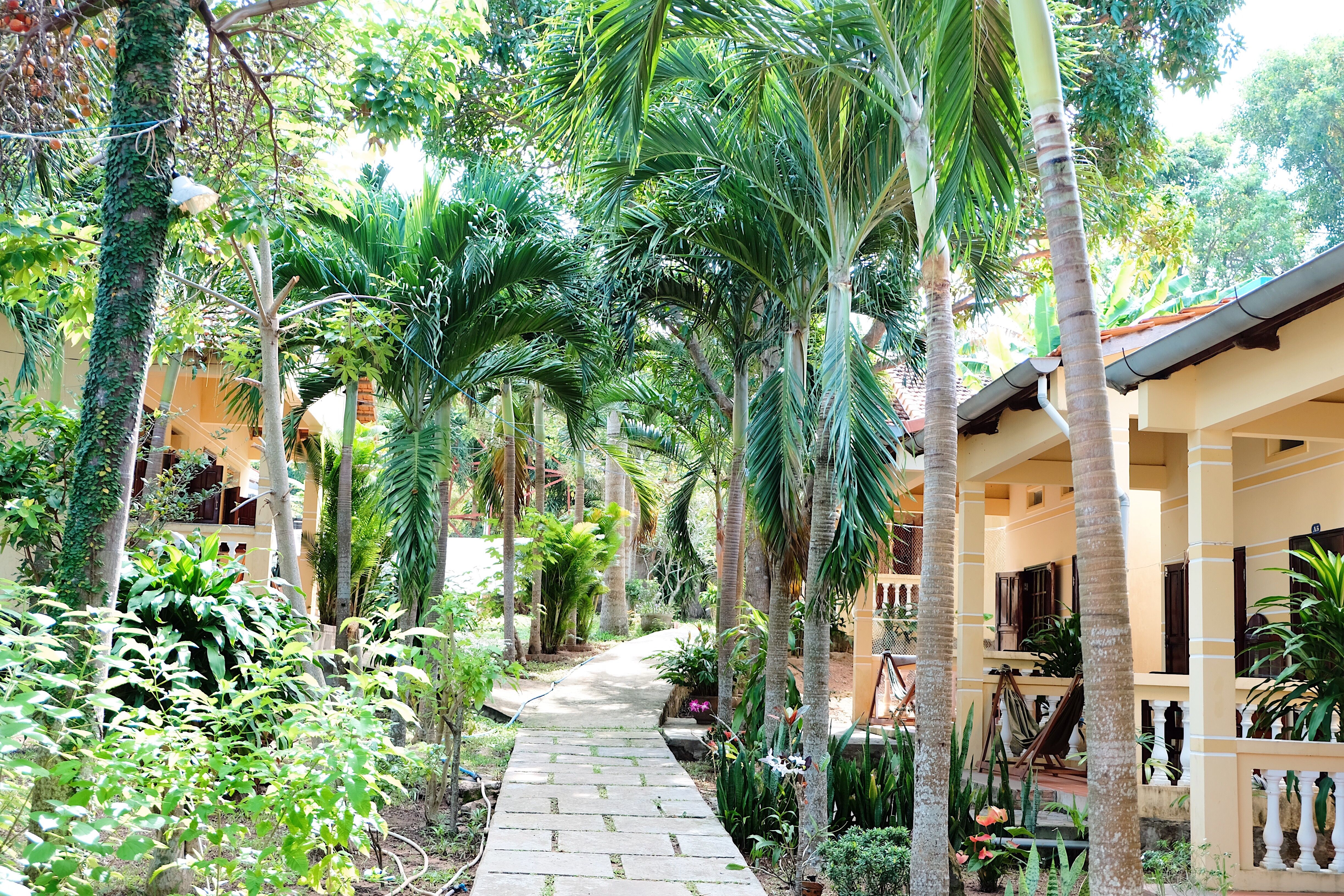 Bungalow