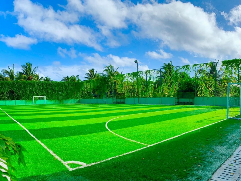 Sport