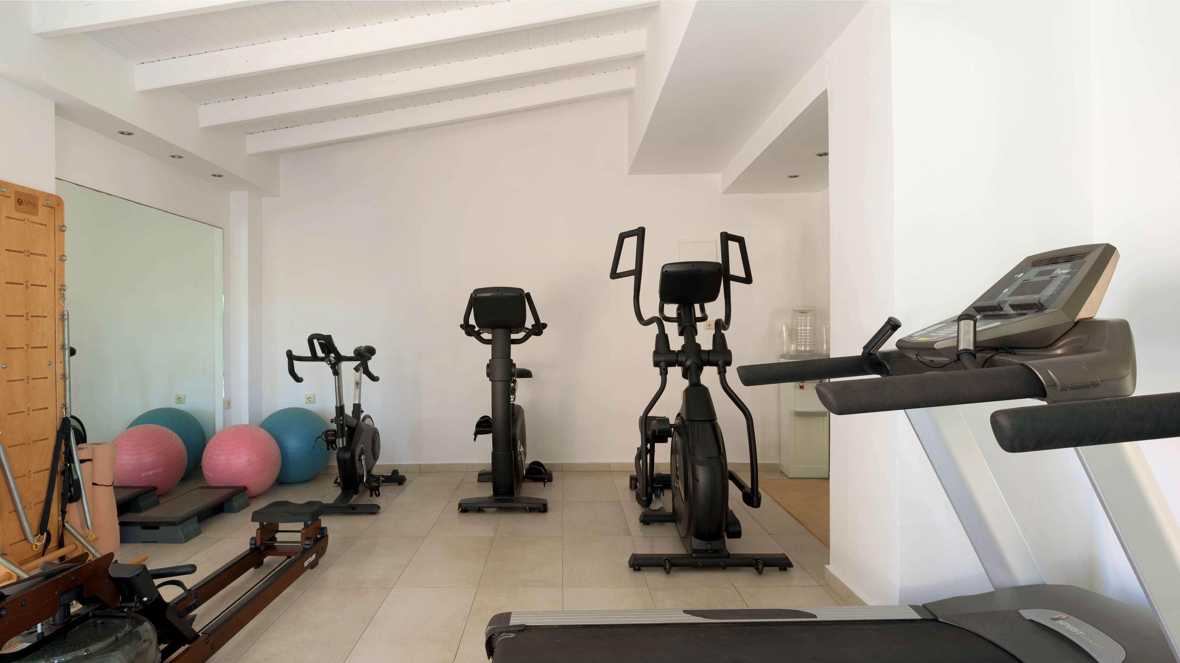 Sport