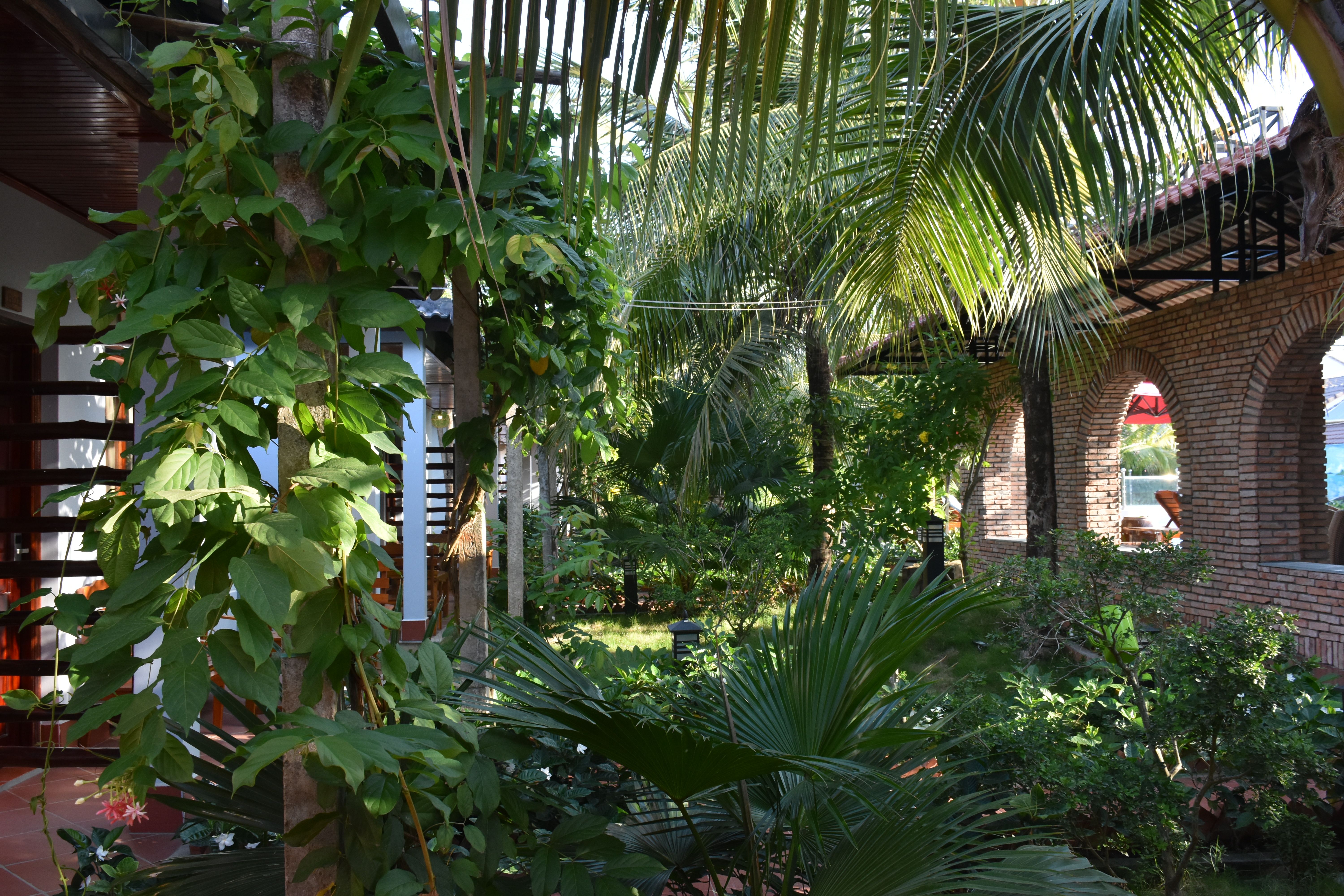 BUNGALOW POOL VIEW 