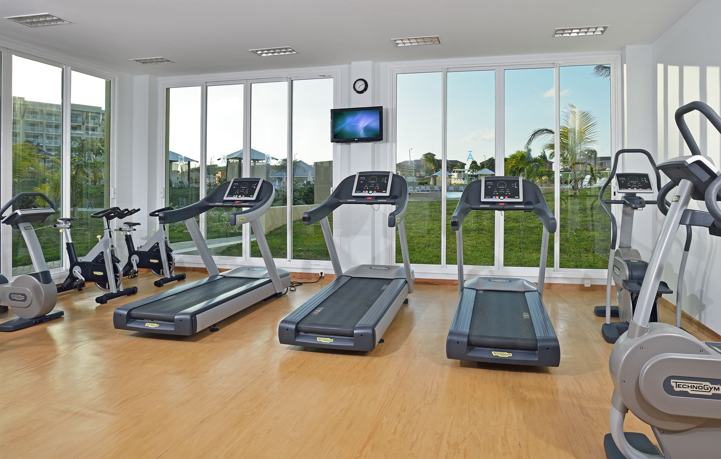 Sport