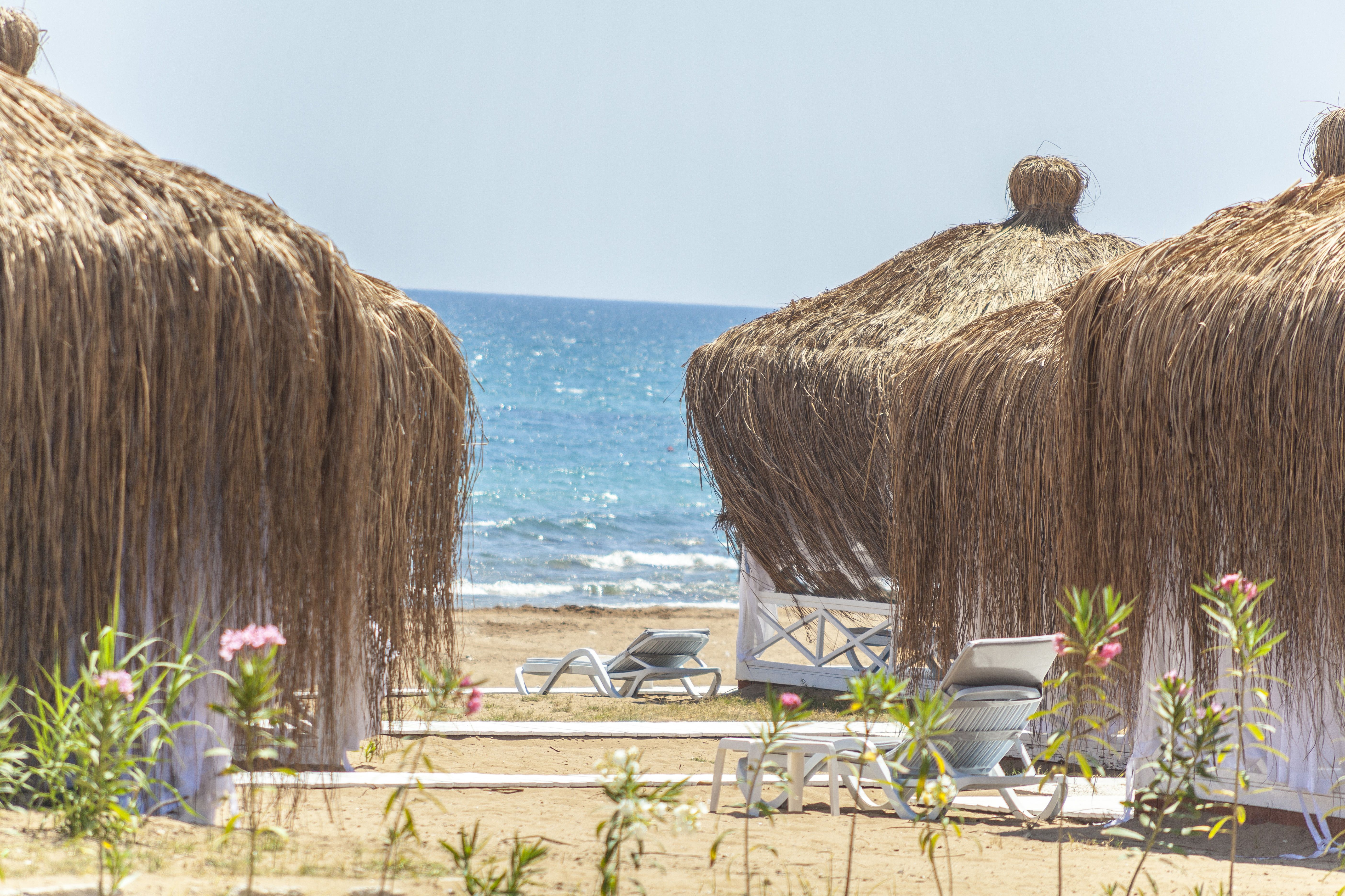 Plajă 