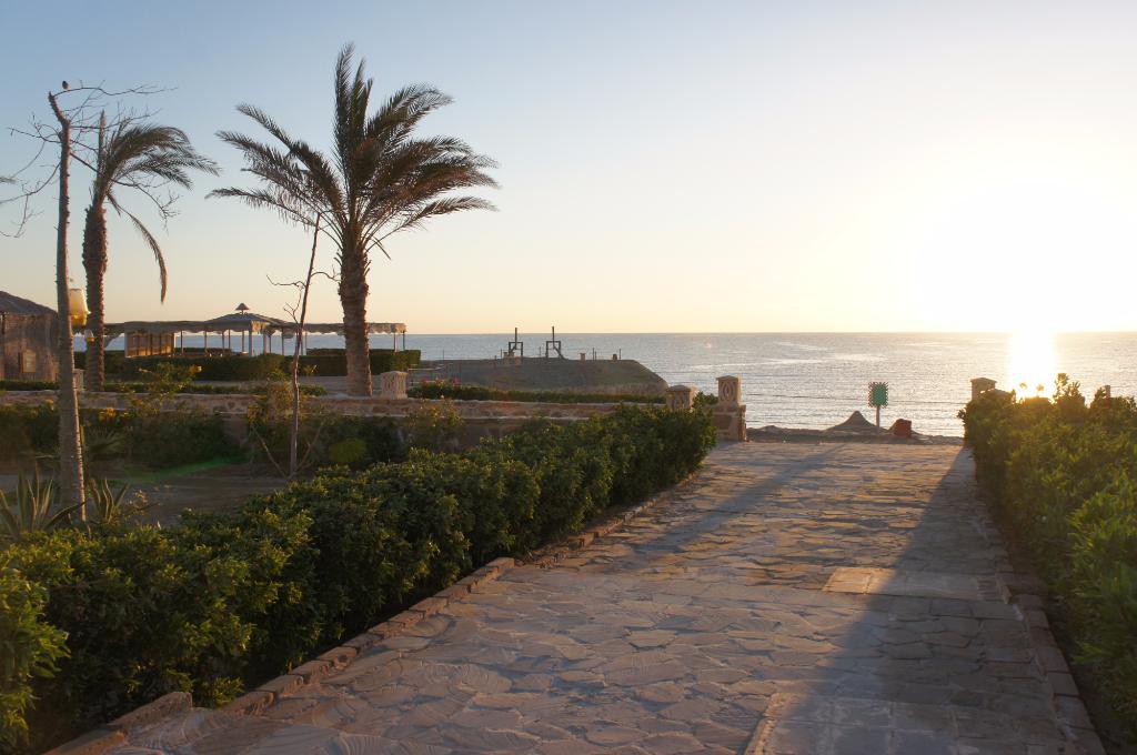 Plajă 