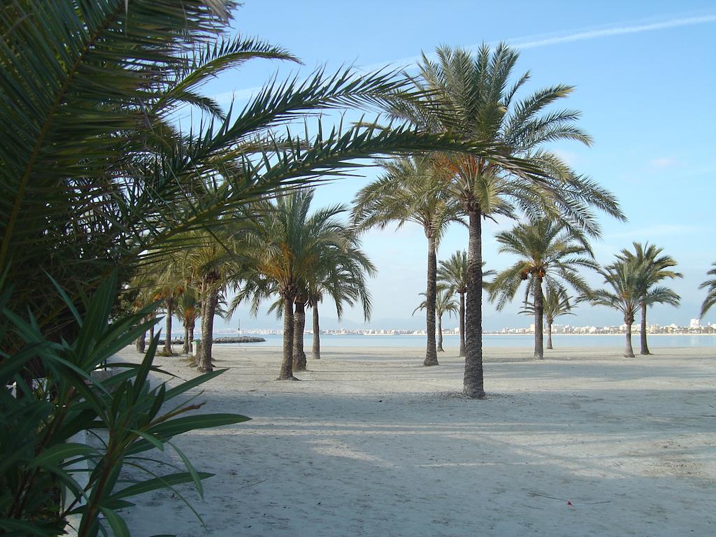 Plajă 