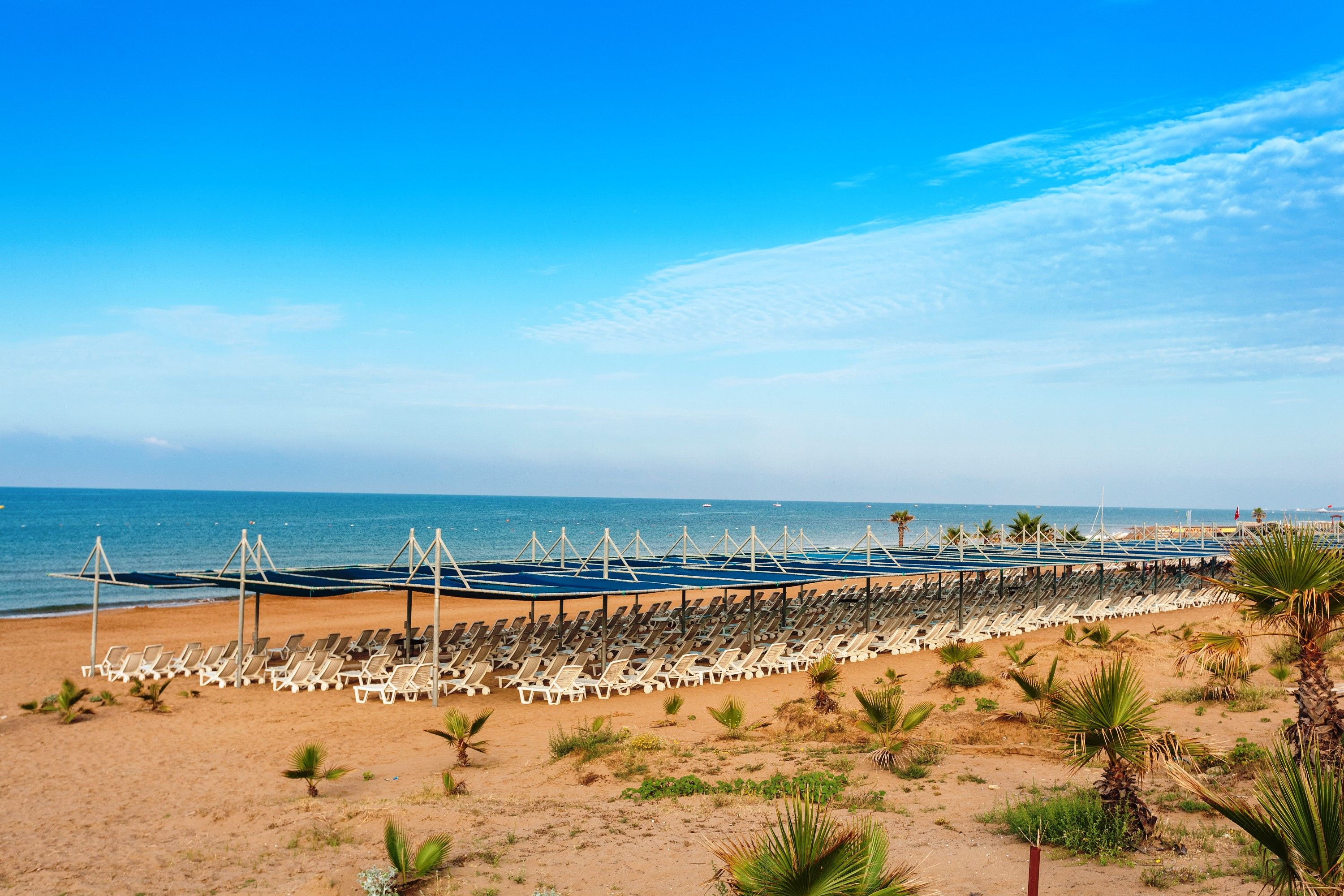Plajă 