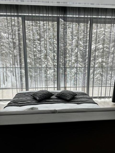 Apartament cu un dormitor si vedere la rasarit
