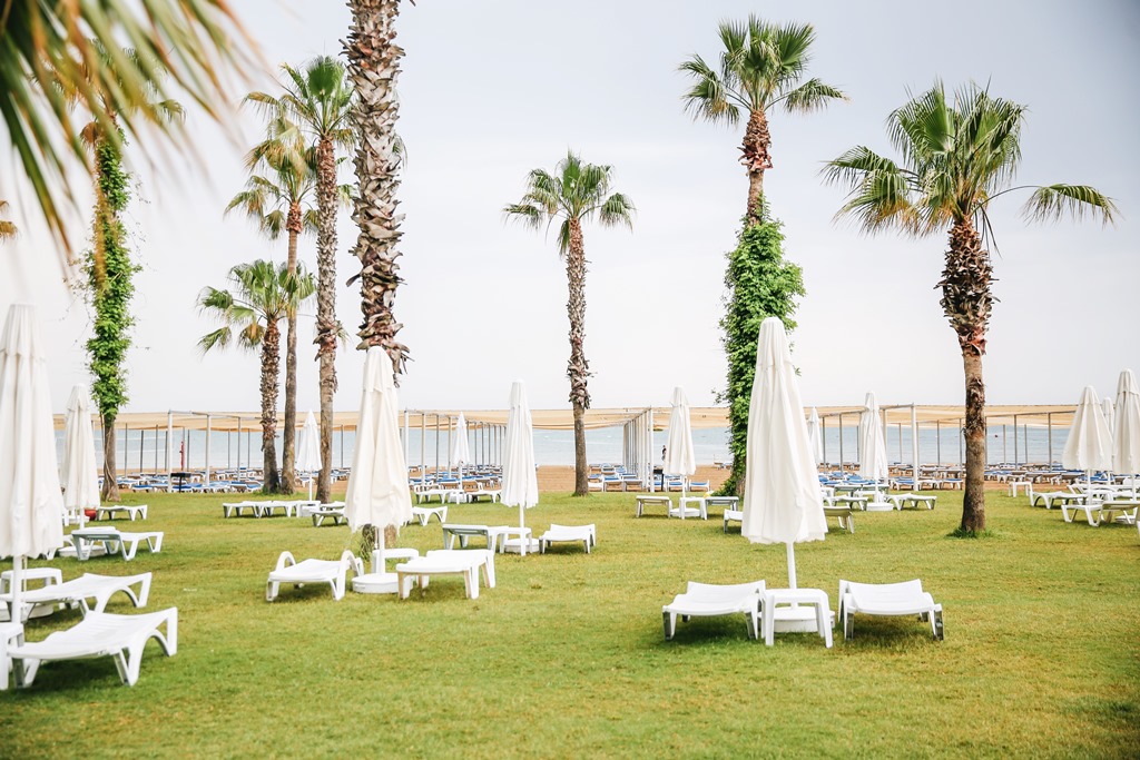 Plajă 