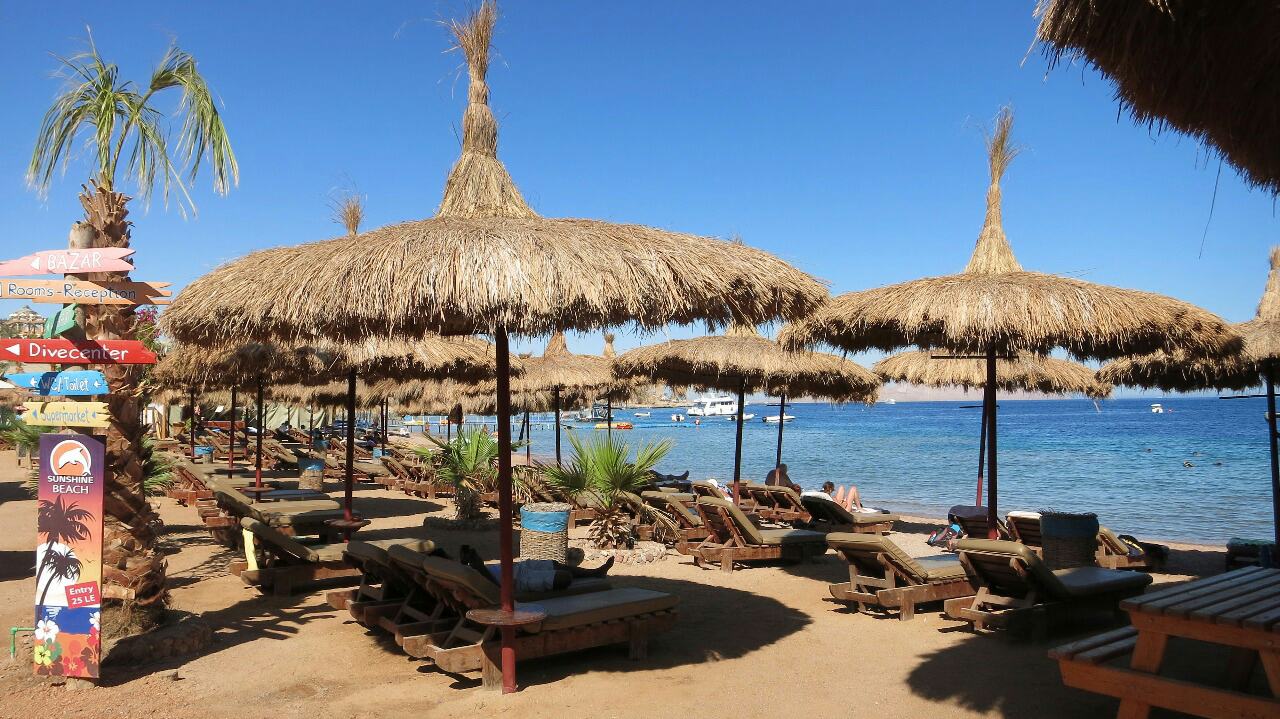 Plajă 