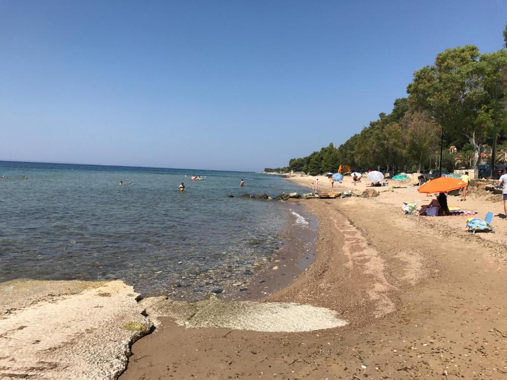 Plajă 