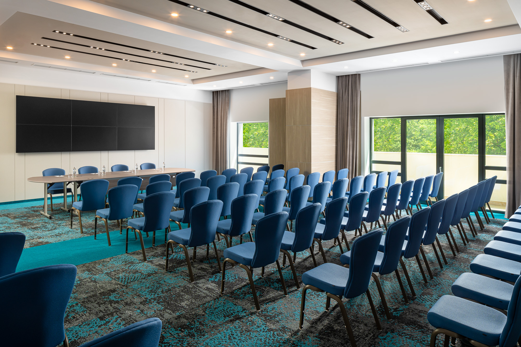 Ana Aslan Meeting Room