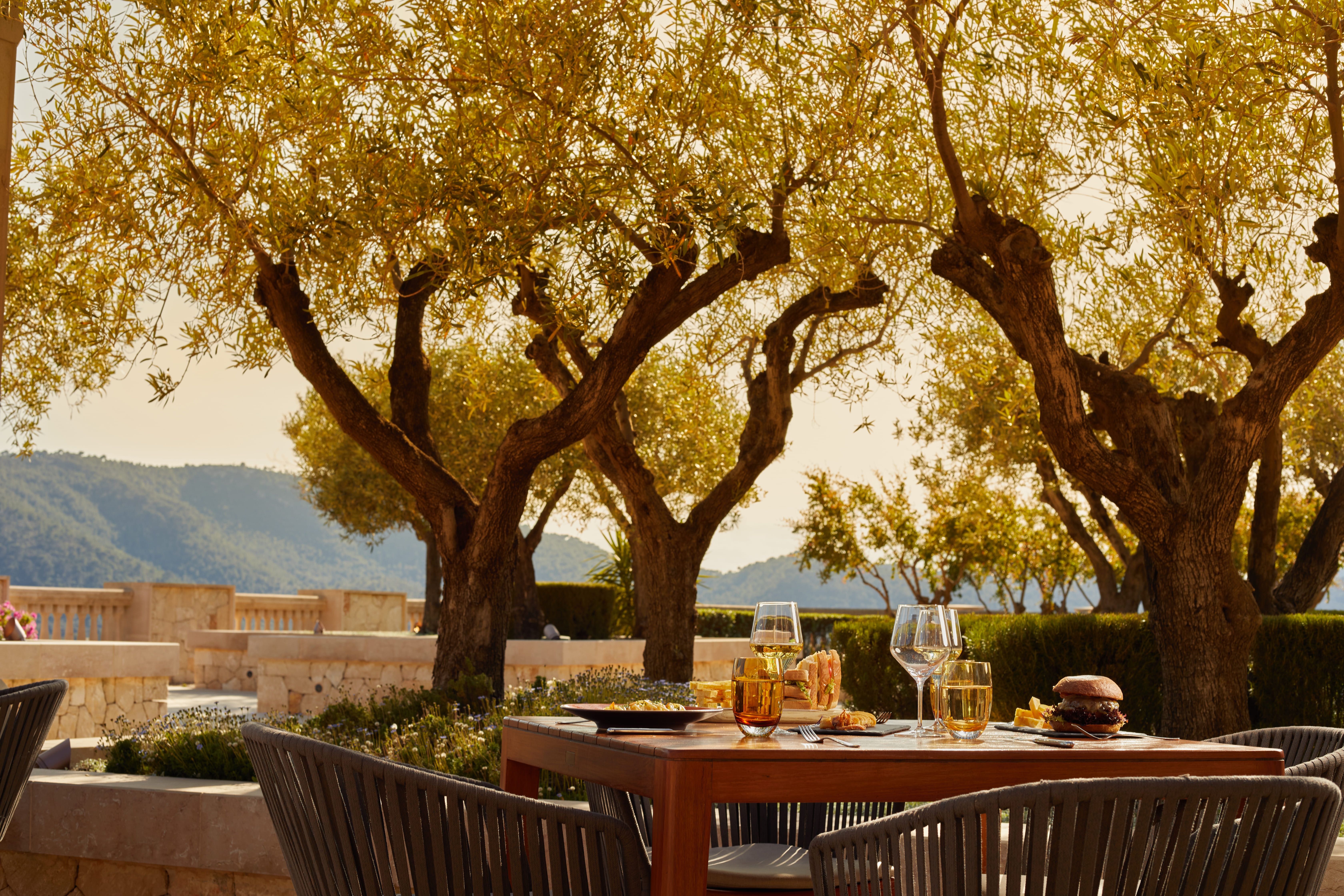Ses Oliveres