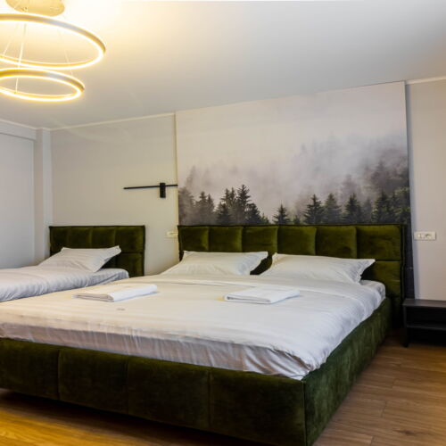 Apartament deluxe 