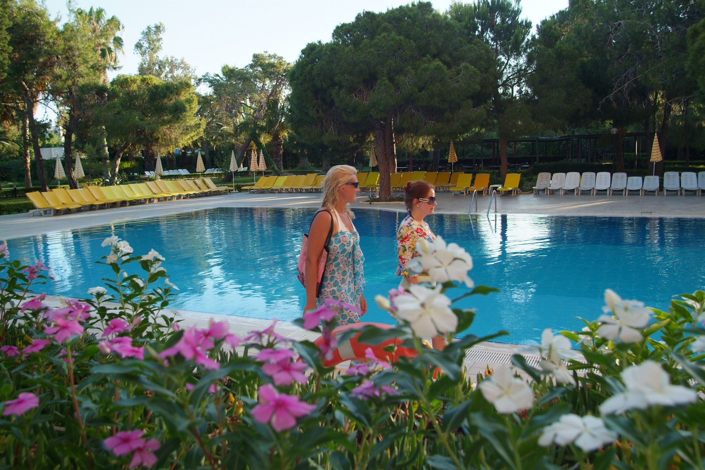Piscina deschisă