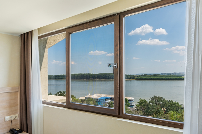 Double Standard Danube view