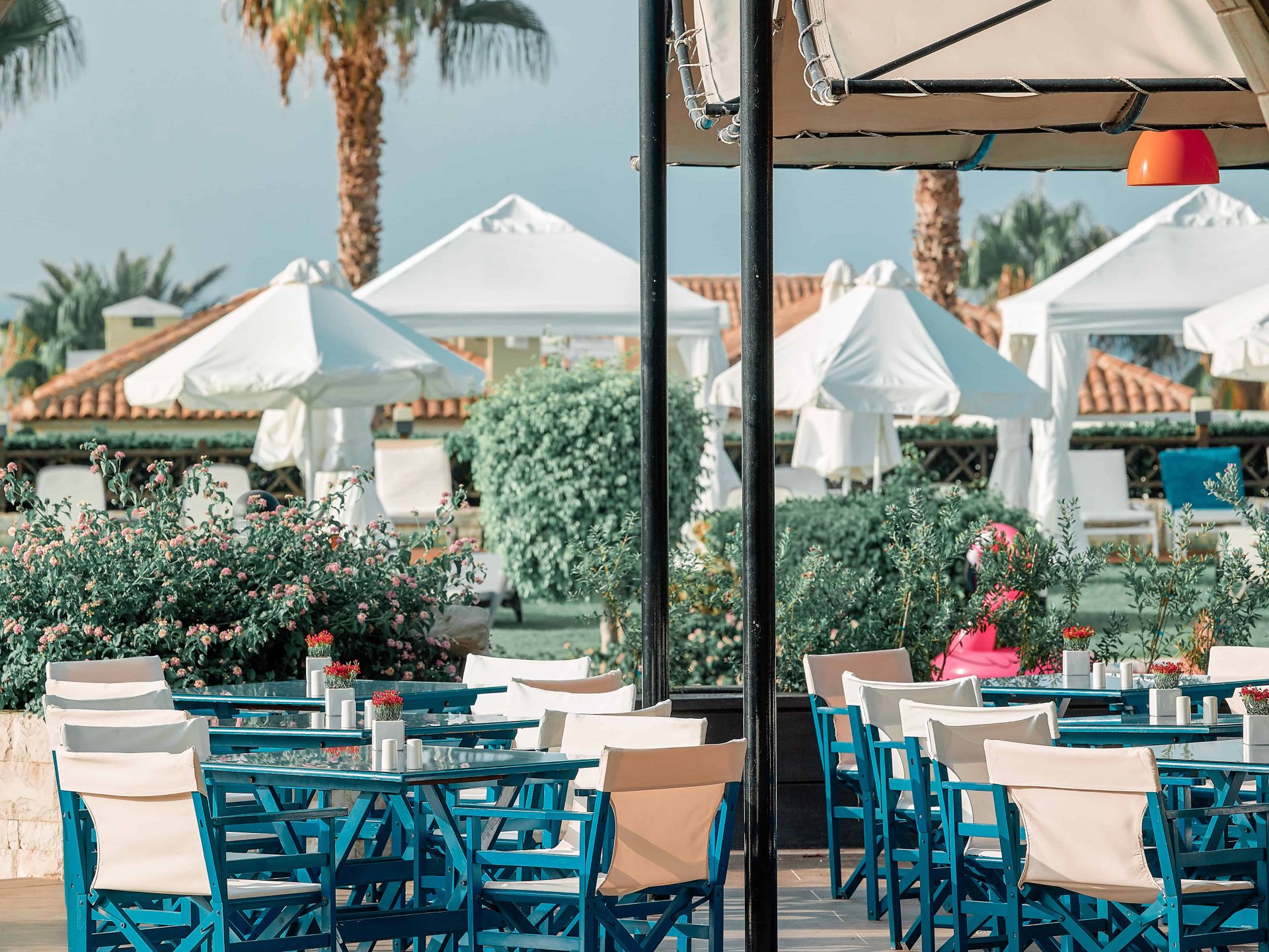 ELEMENTS POOL BAR DELPHINIA