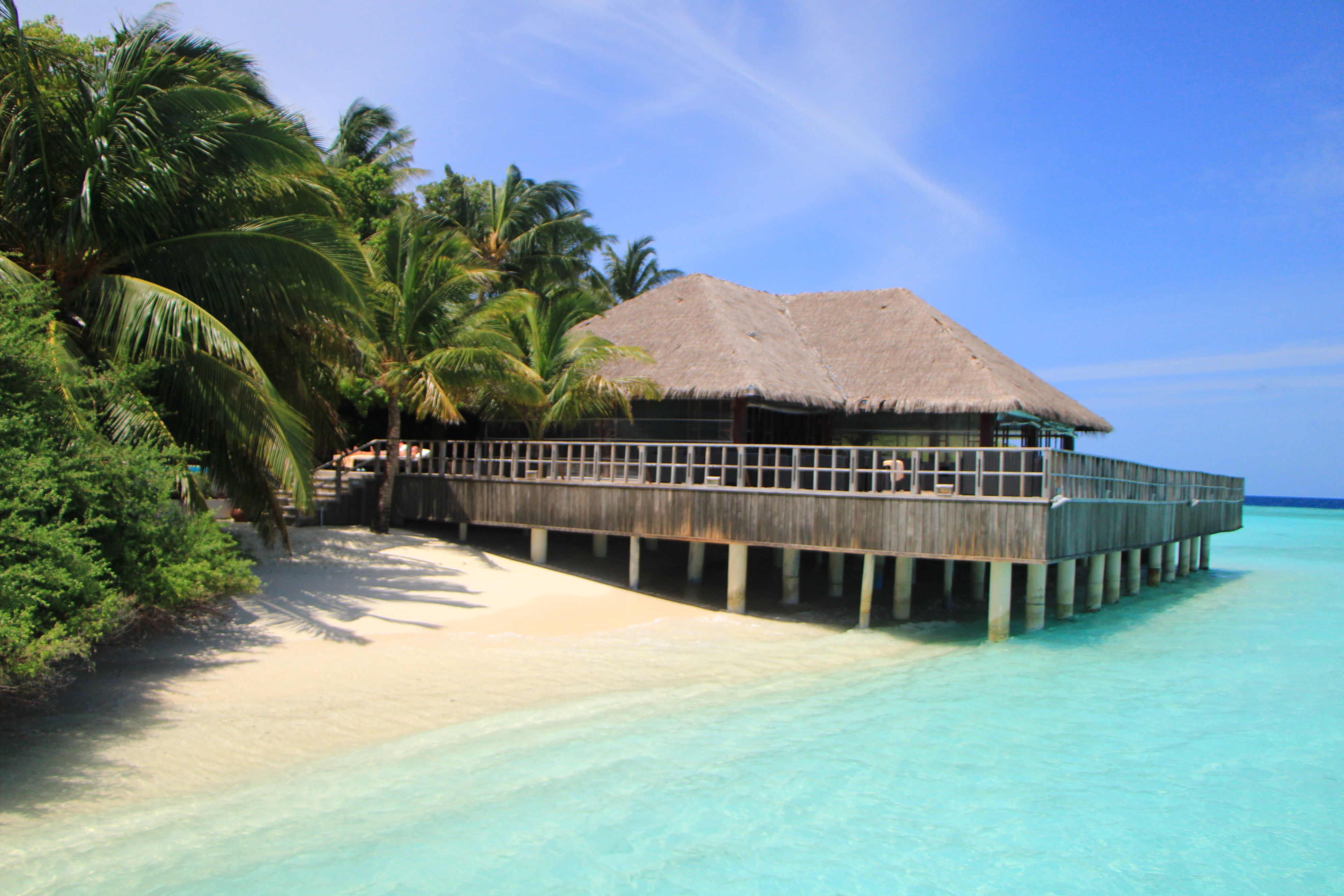 Coffee shop and Bar