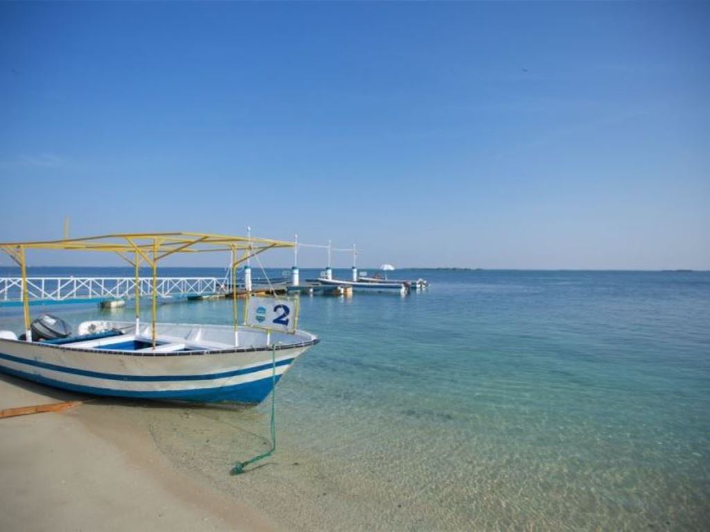 Plajă 