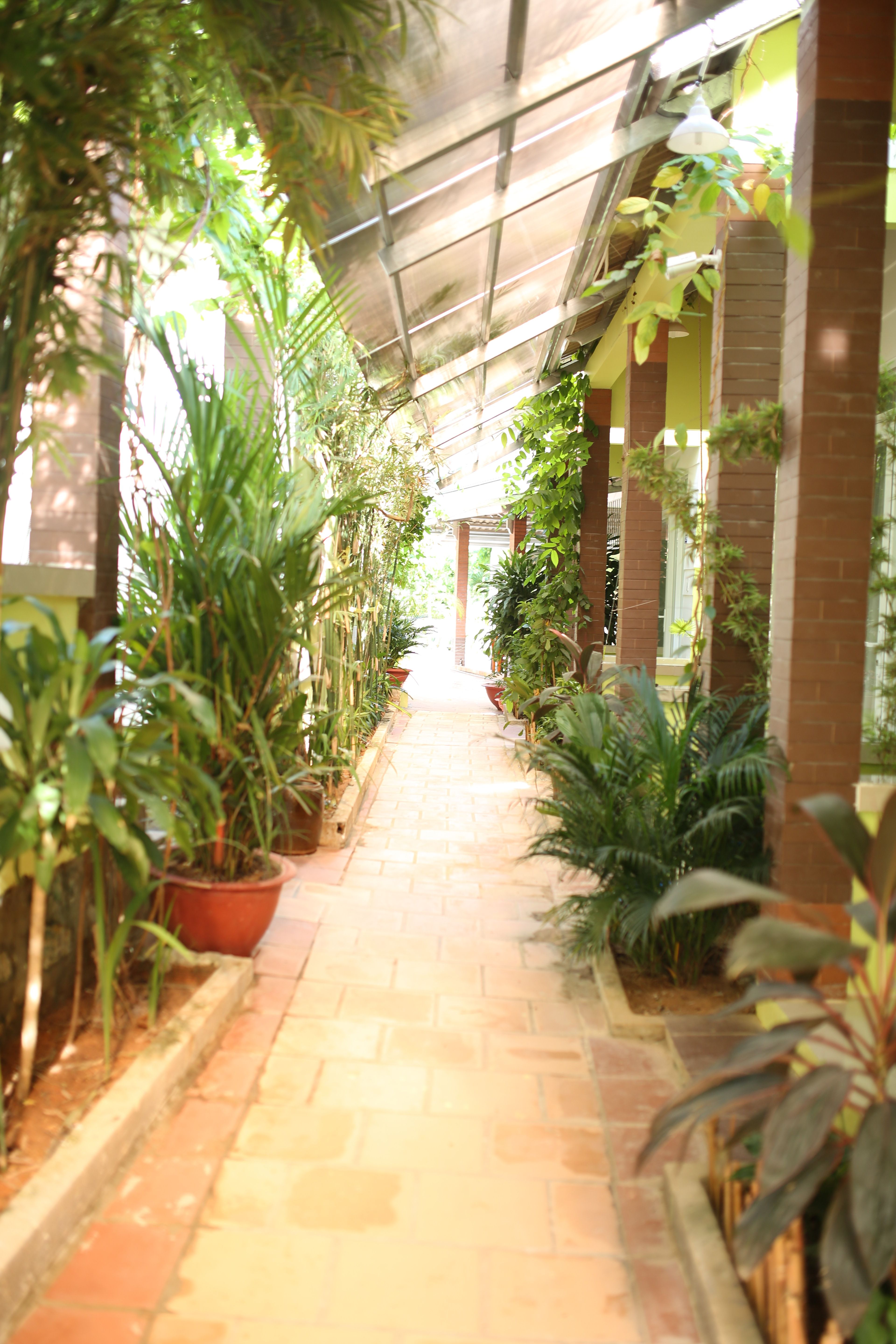BUNGALOW STANDARD WITH TERRACE