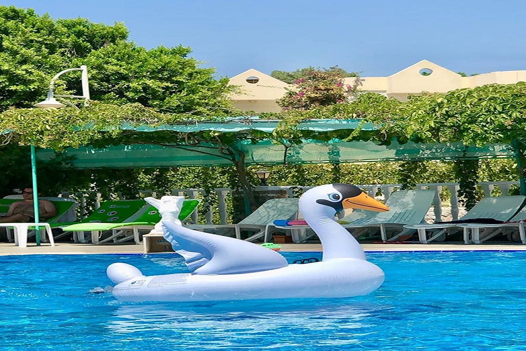 Piscina deschisă