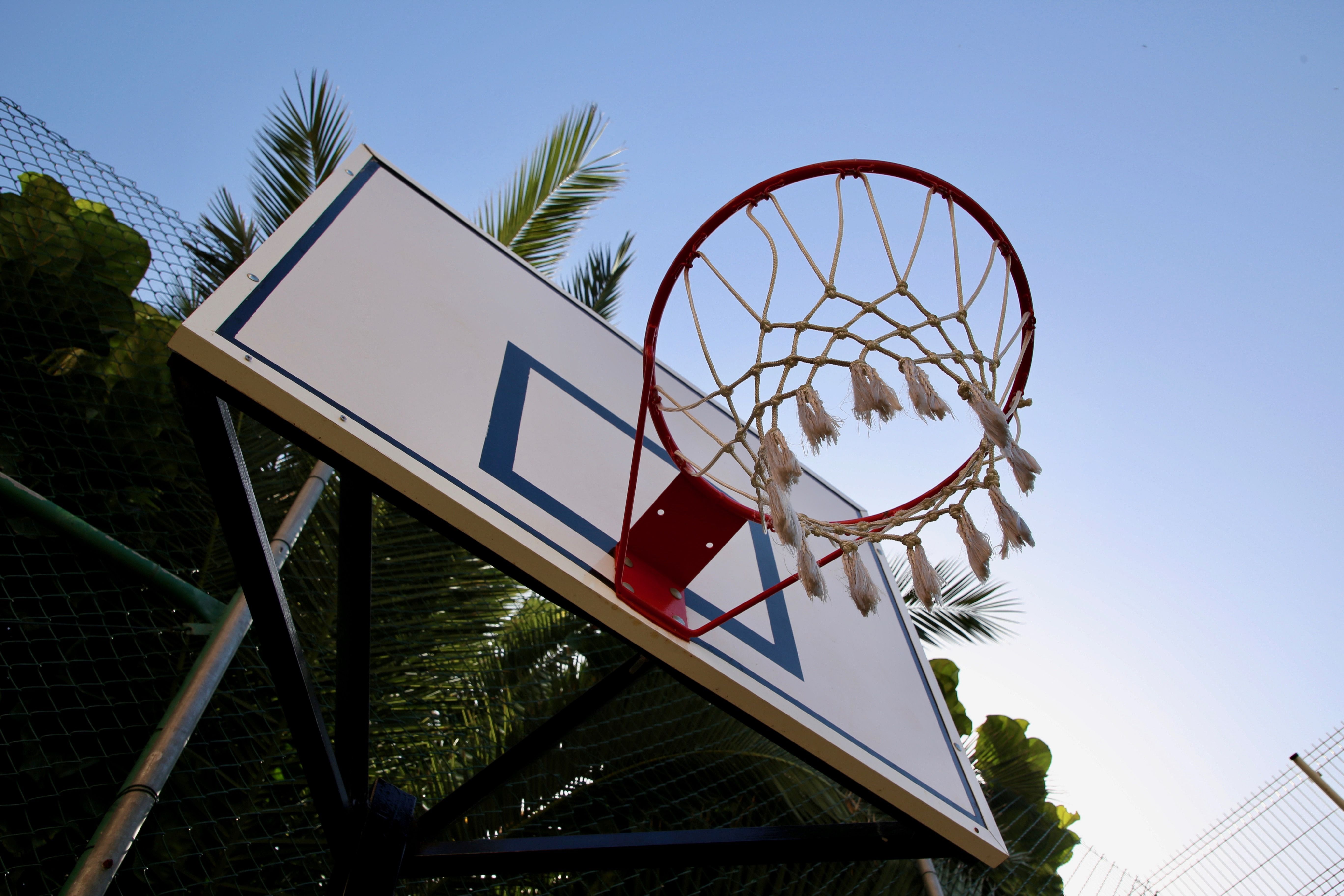 Sport