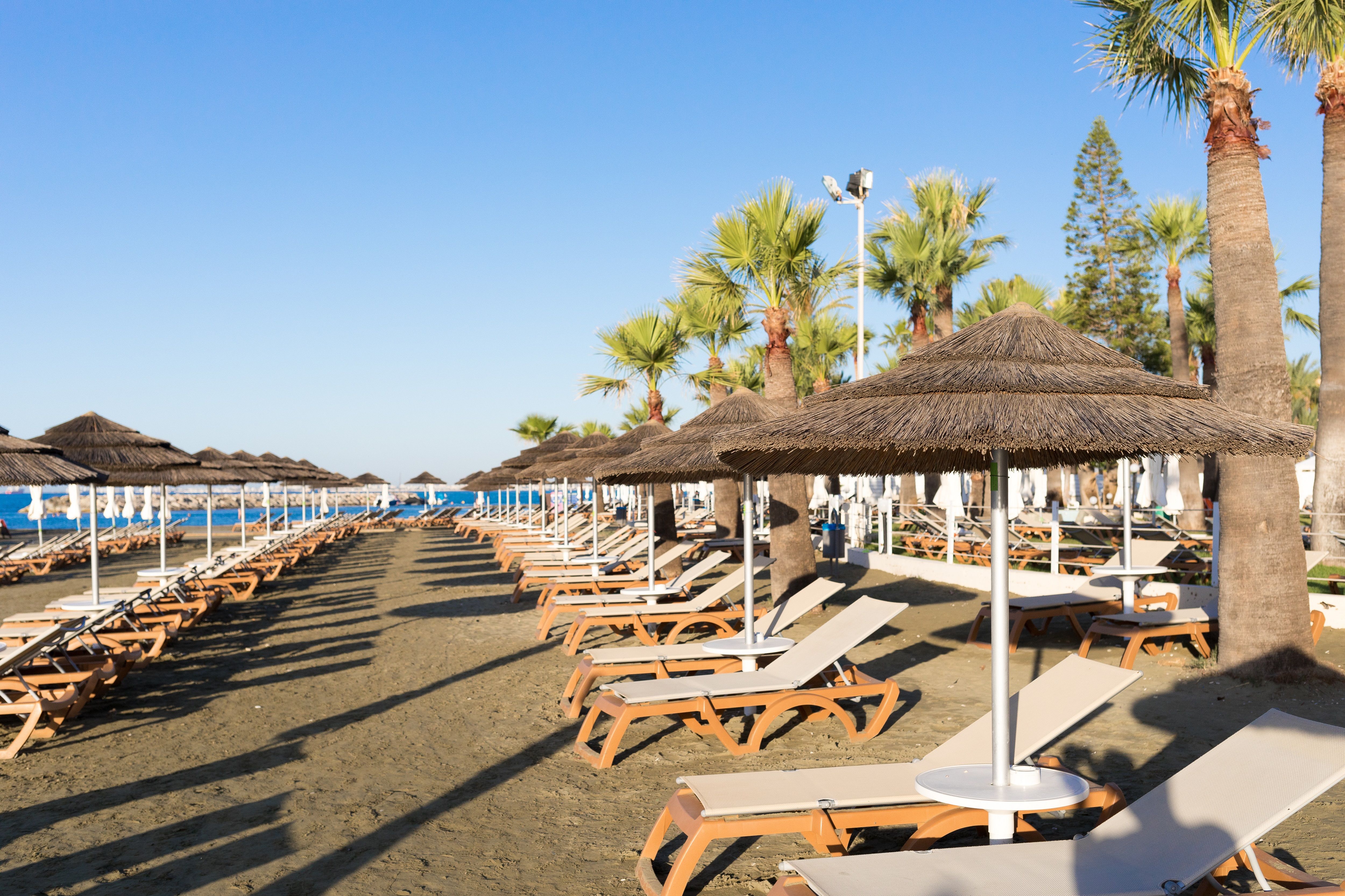 Plajă 