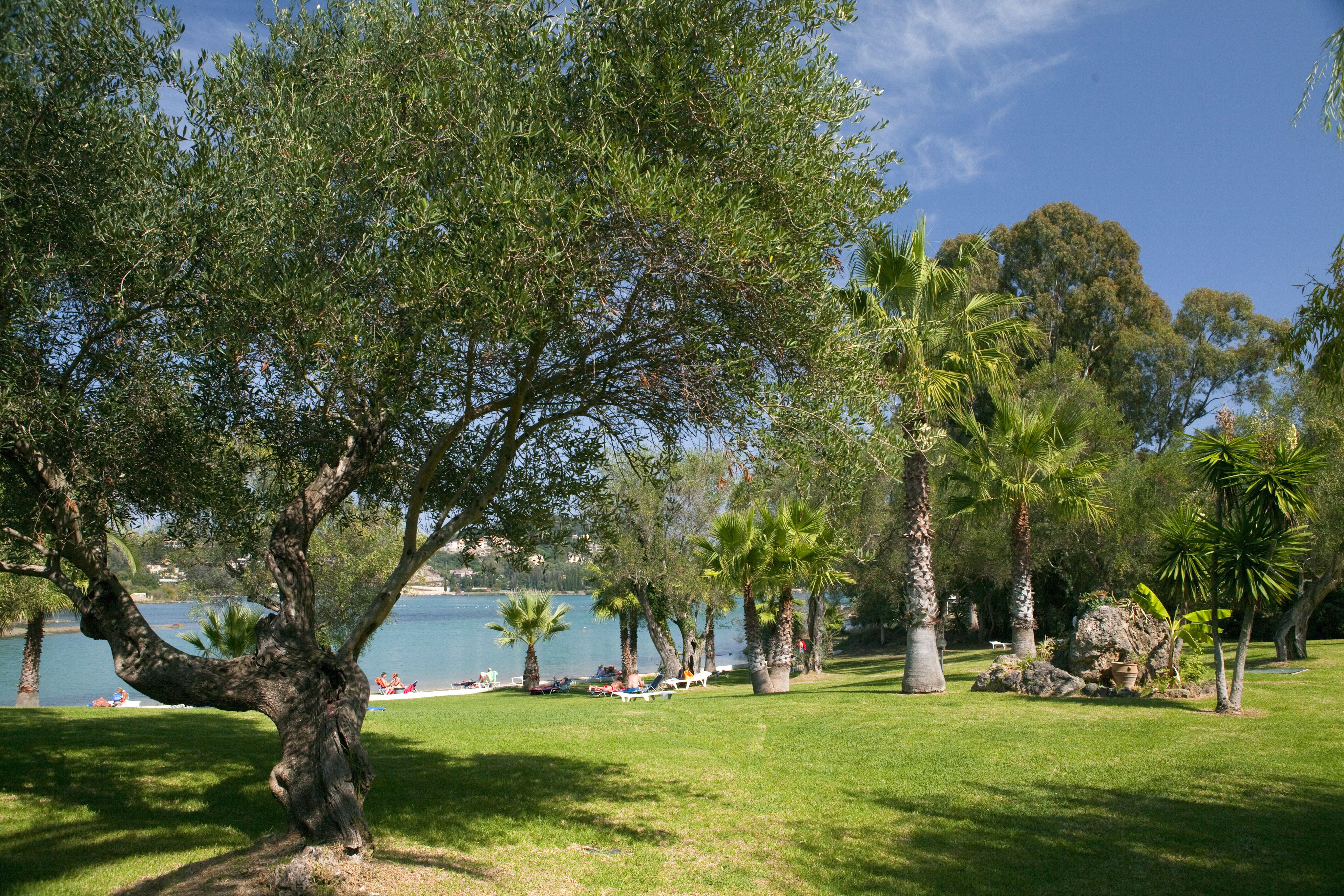 Plajă 