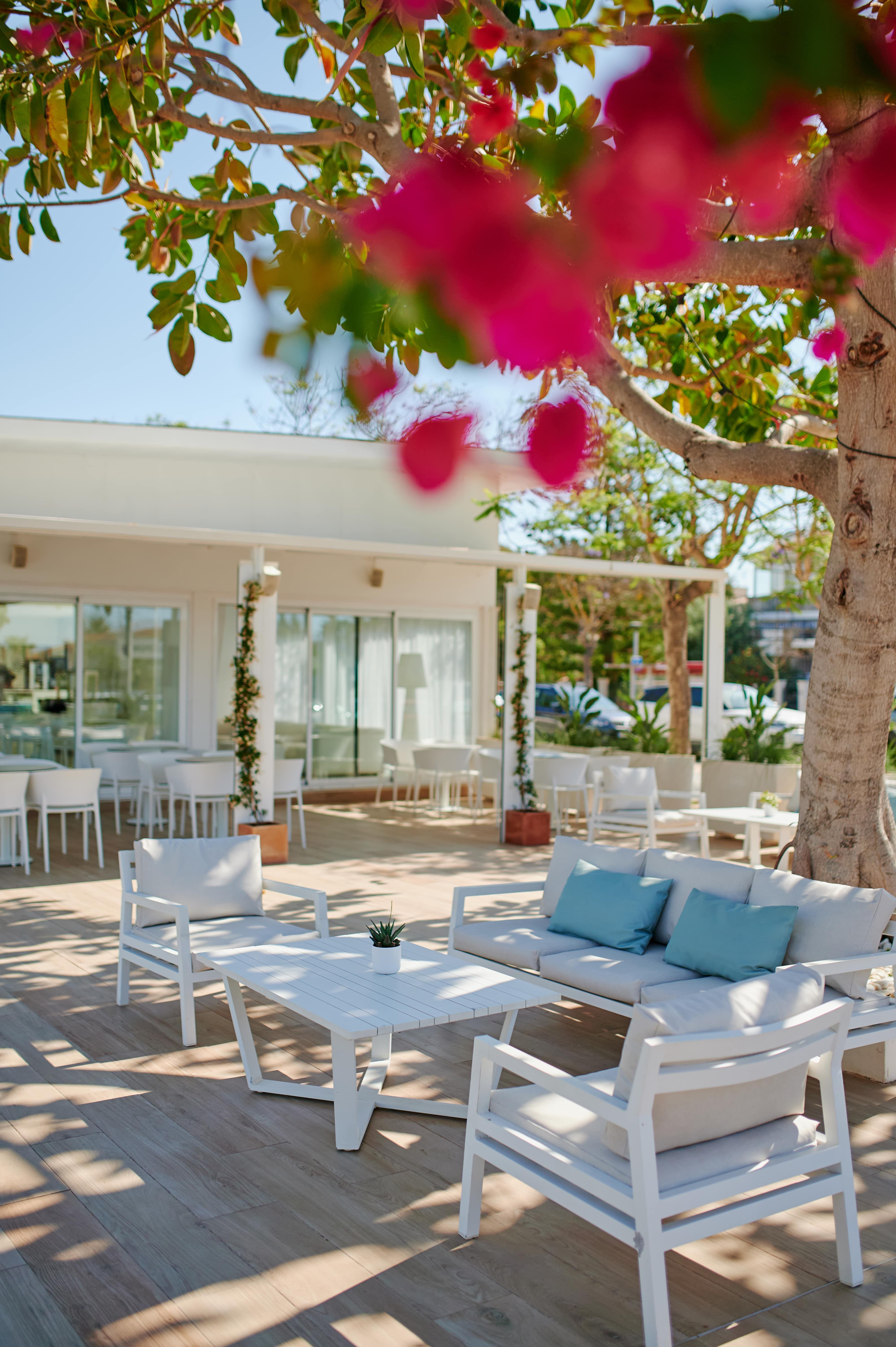 BAR DEL HOTEL