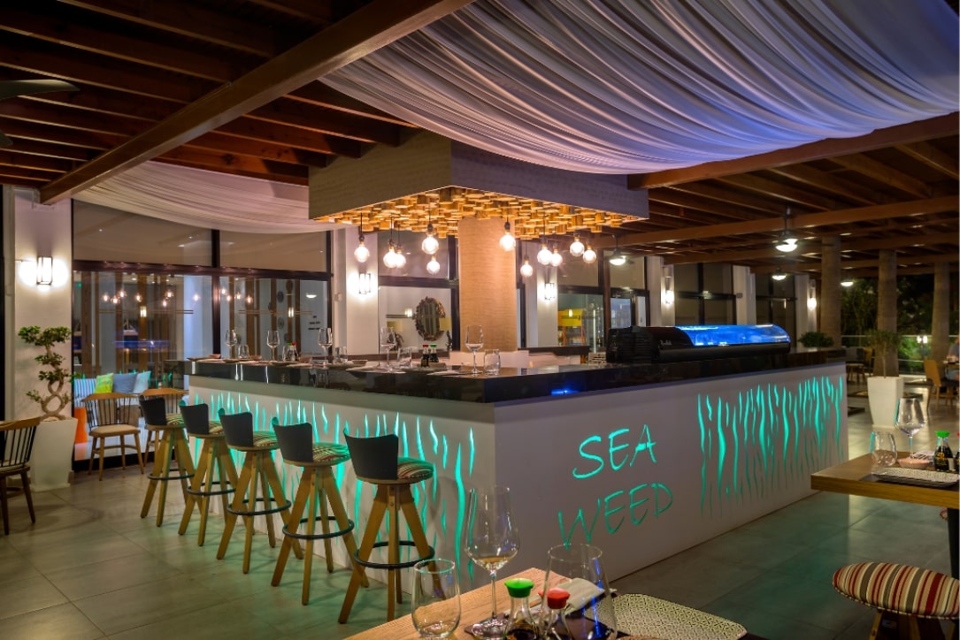 Seaweed Sushi Bar