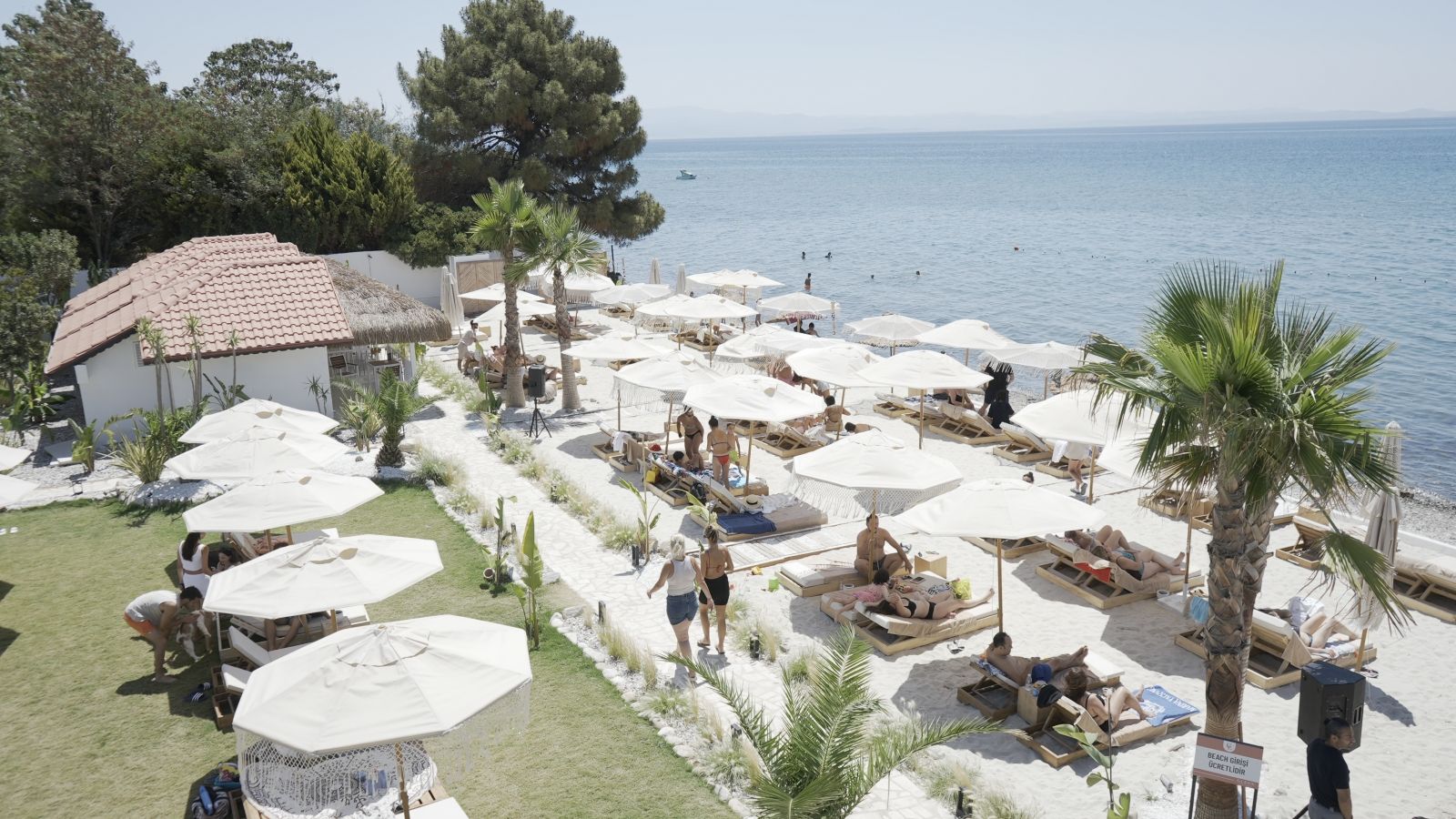 Plajă 