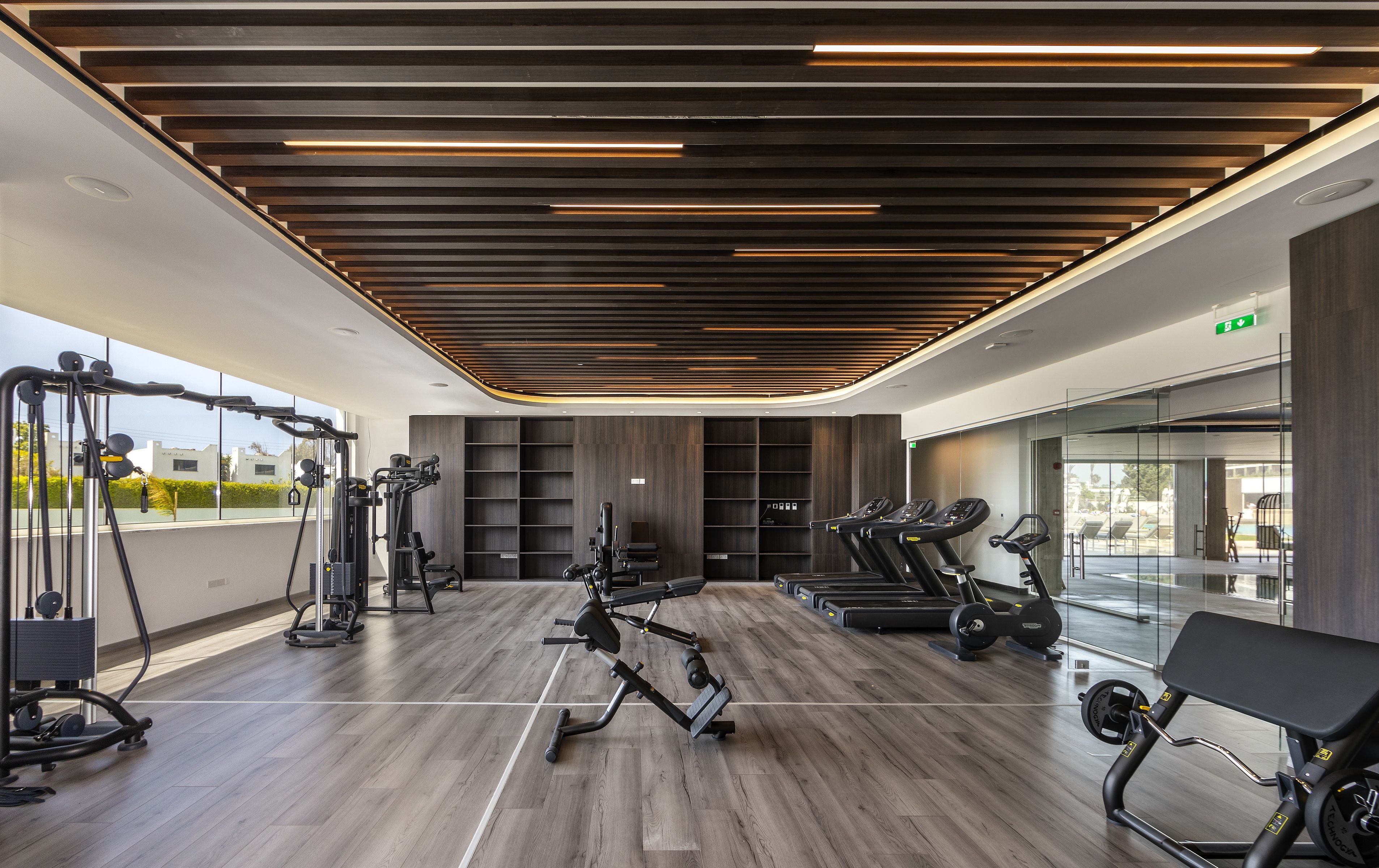 Sport