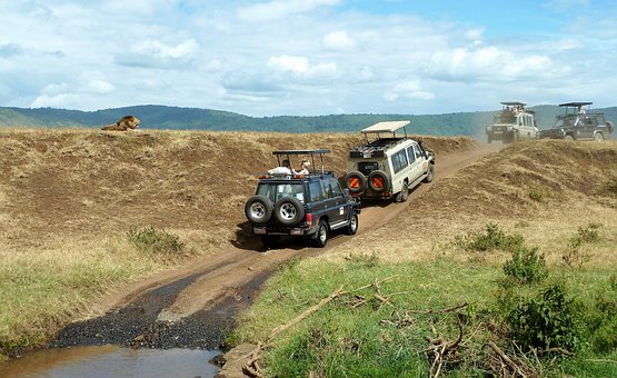 safari Ngorongoro.jpg