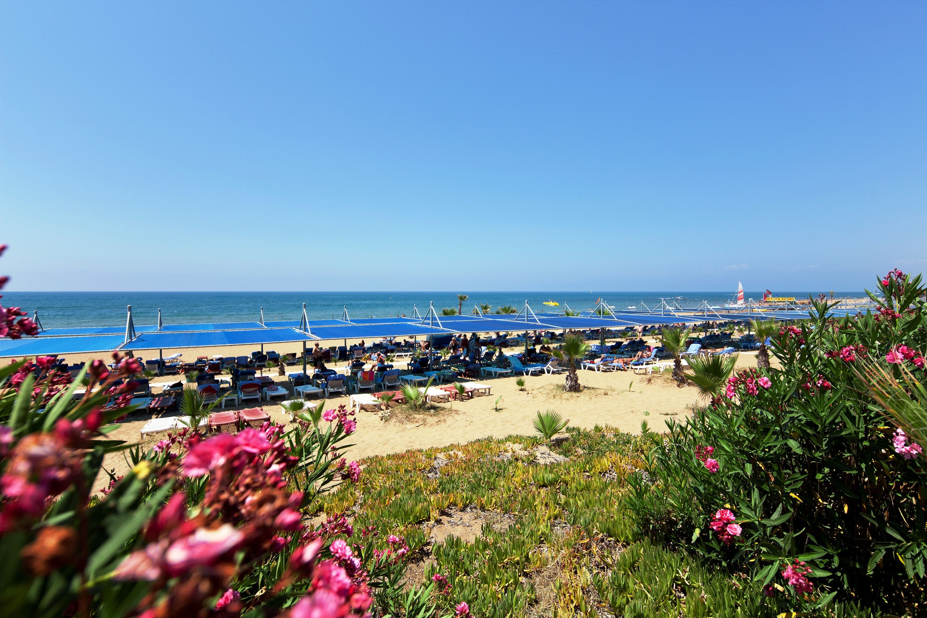 Plajă 