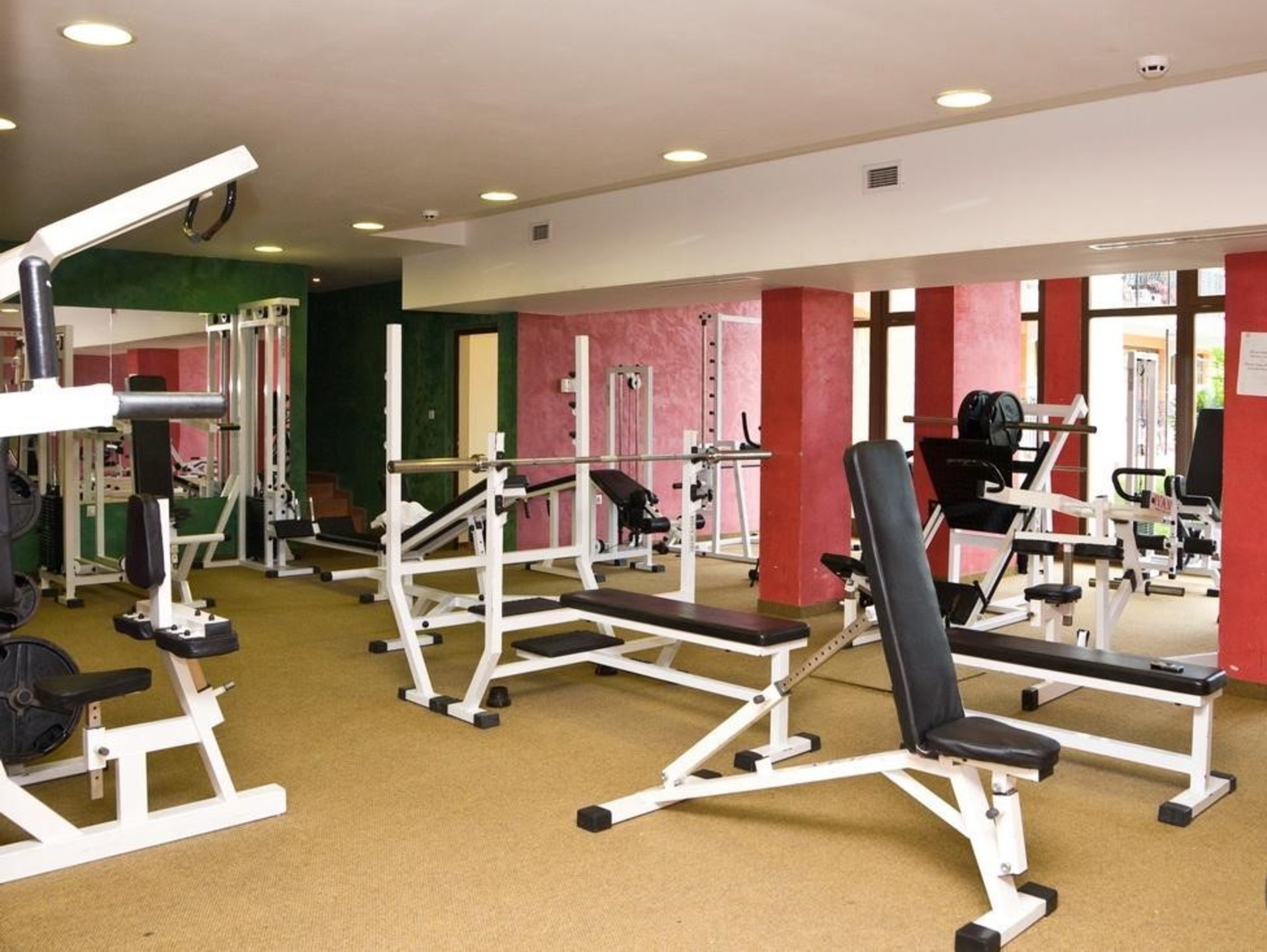 Sport