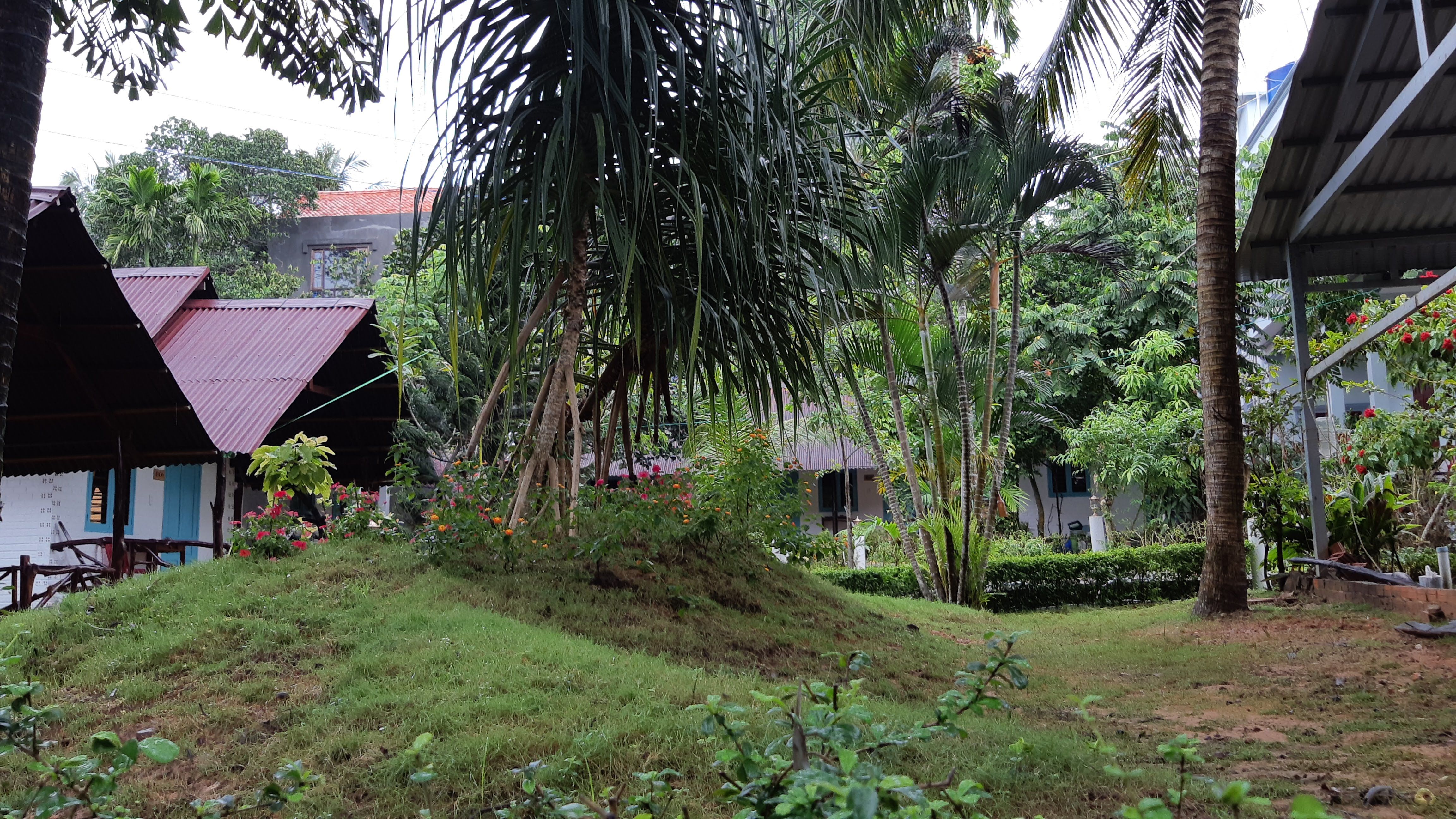 Bungalou