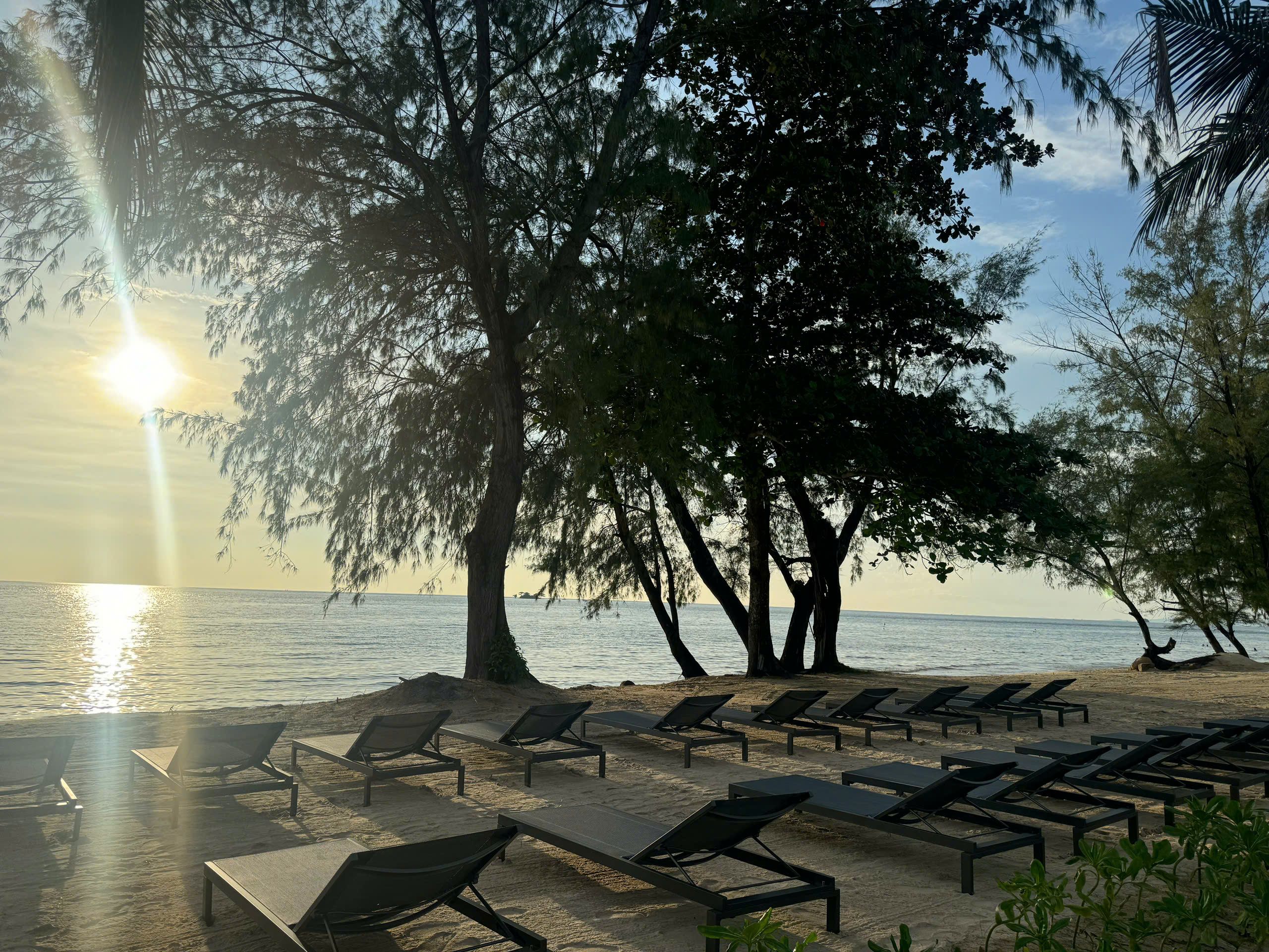 Plajă 