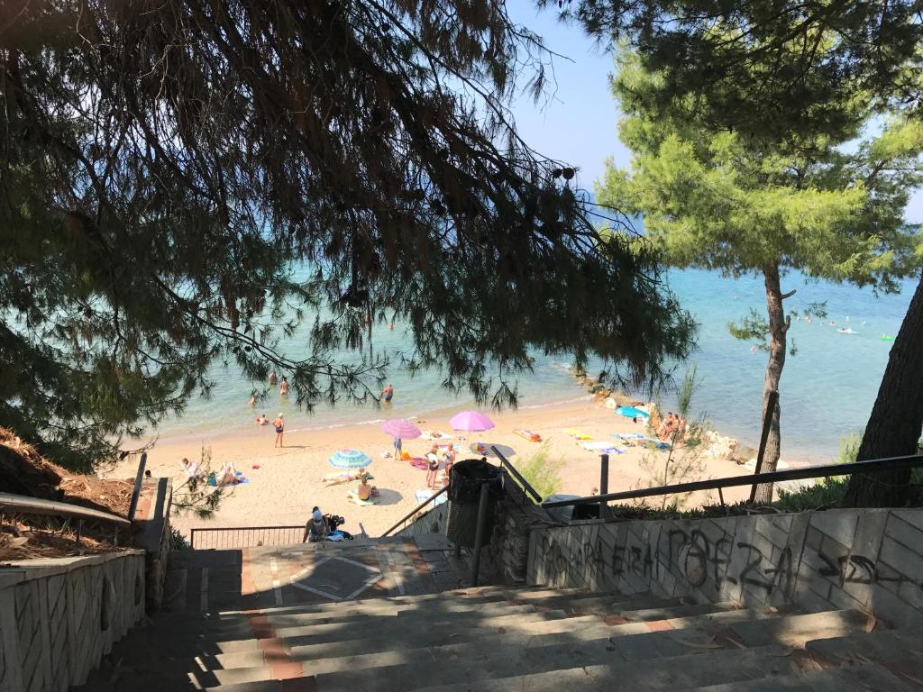 Plajă 
