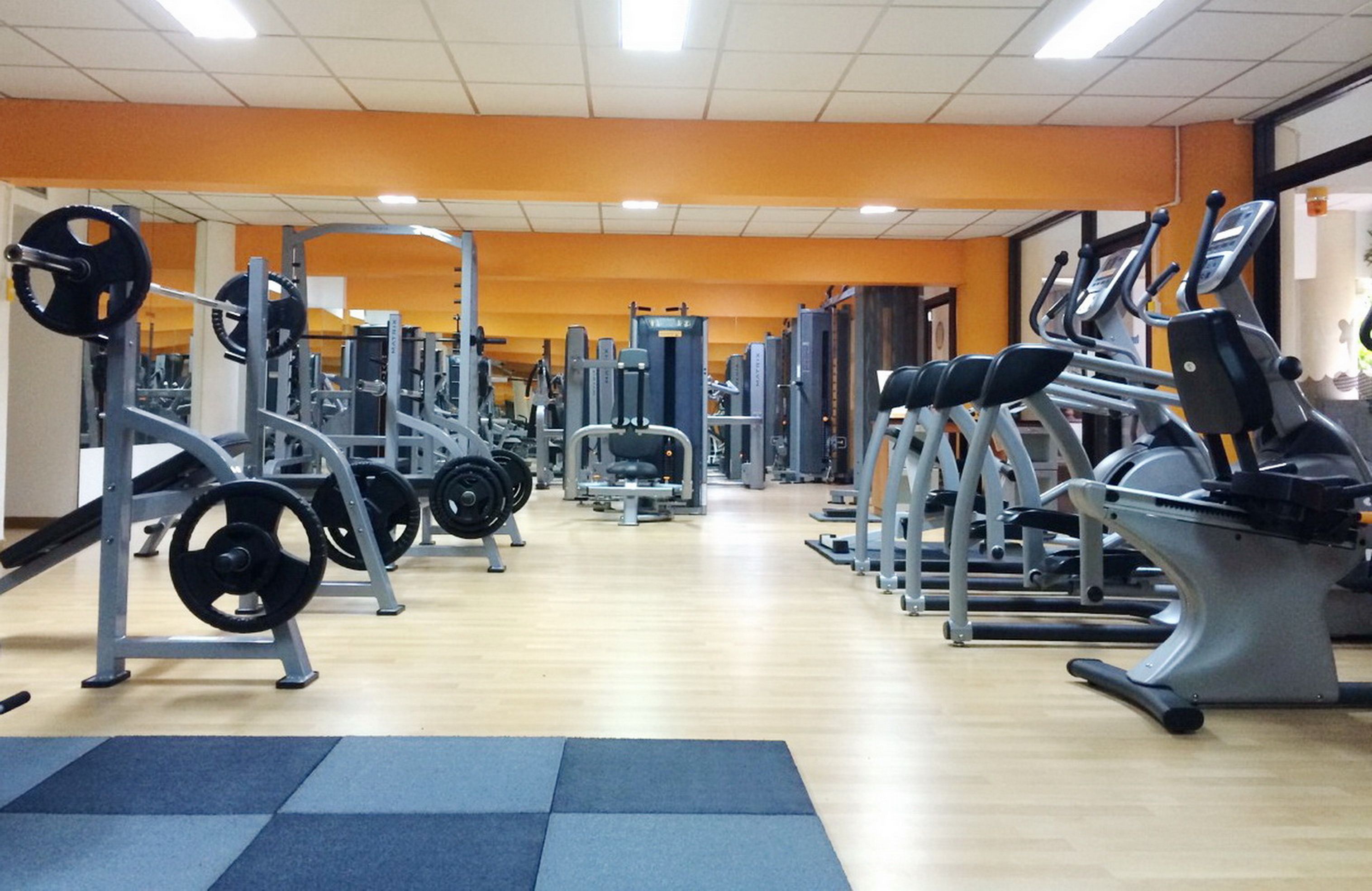 Sport