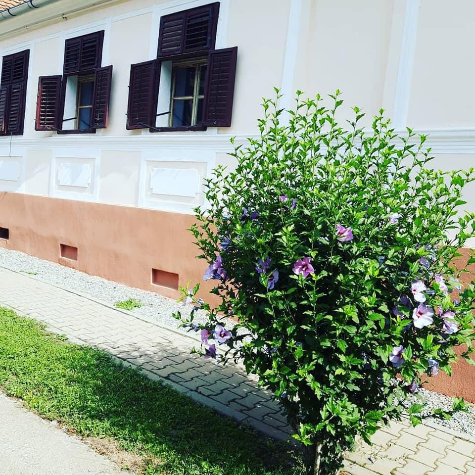 Casa cu 3 dormitoare