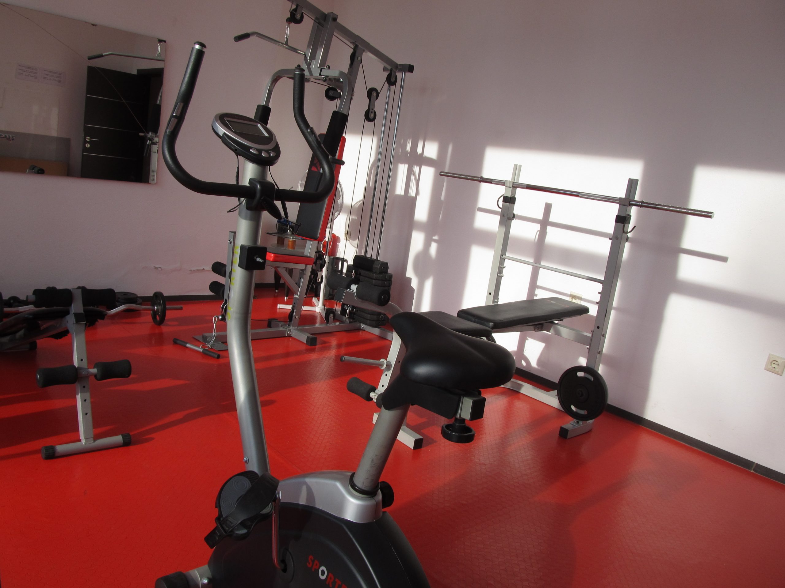 Sport