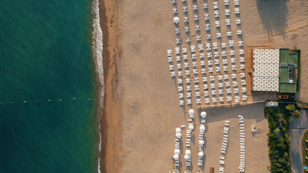 Plajă 
