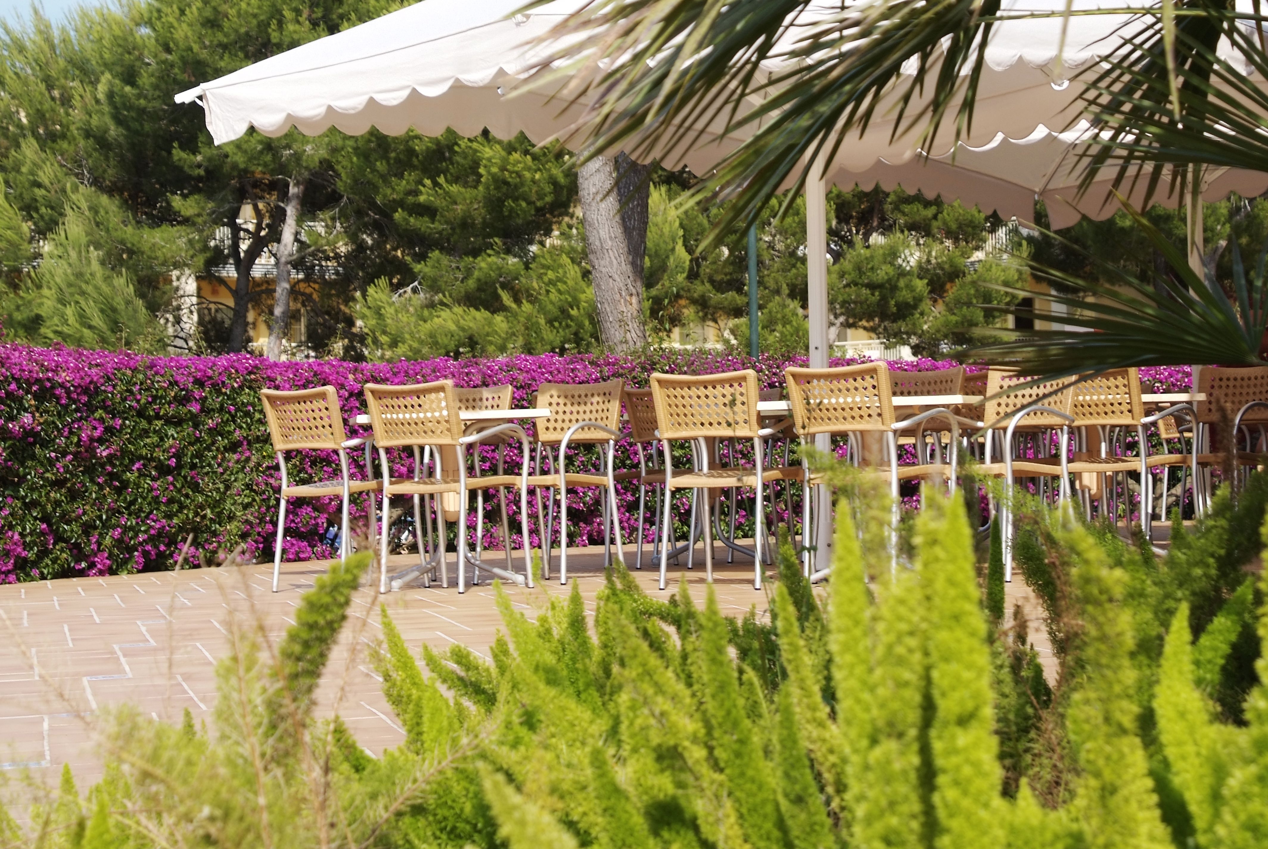 La Palapa